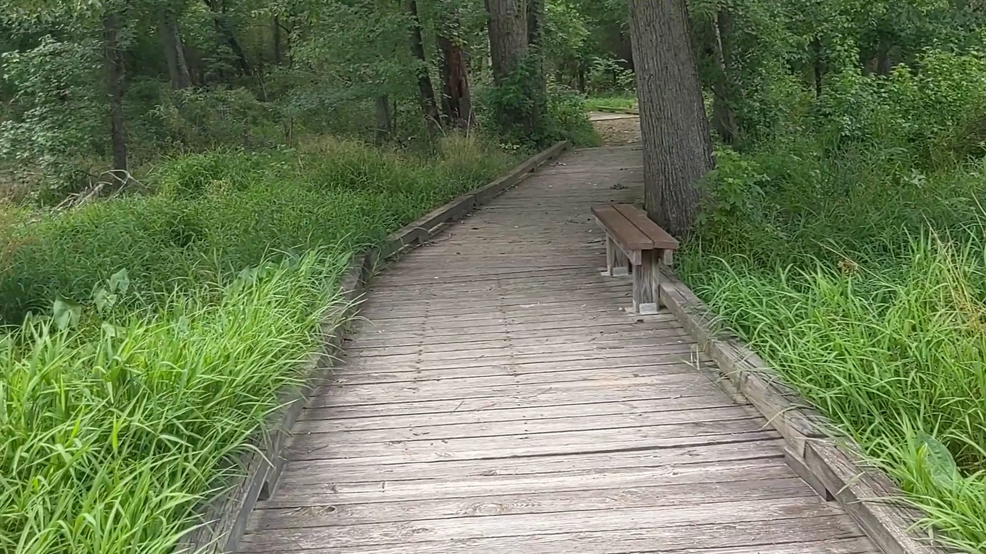Ivy Creek Greenway - Buford, GA