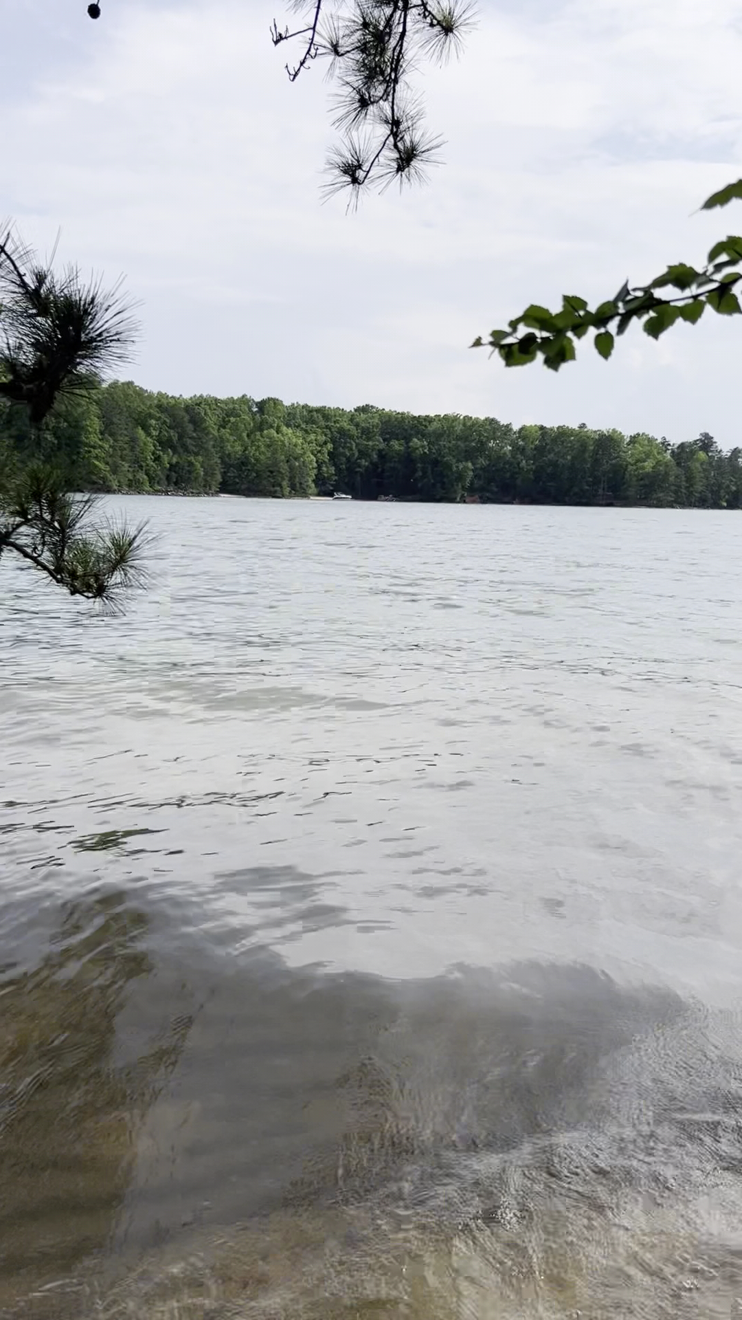 Lake Lanier picnic free area - Buford, GA