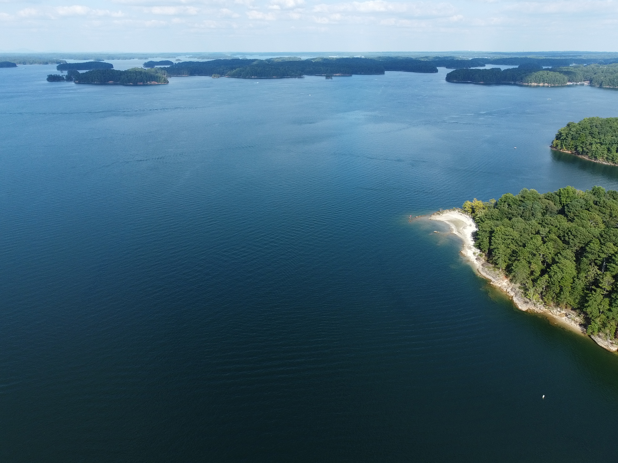 Lake Lanier picnic free area - Buford, GA
