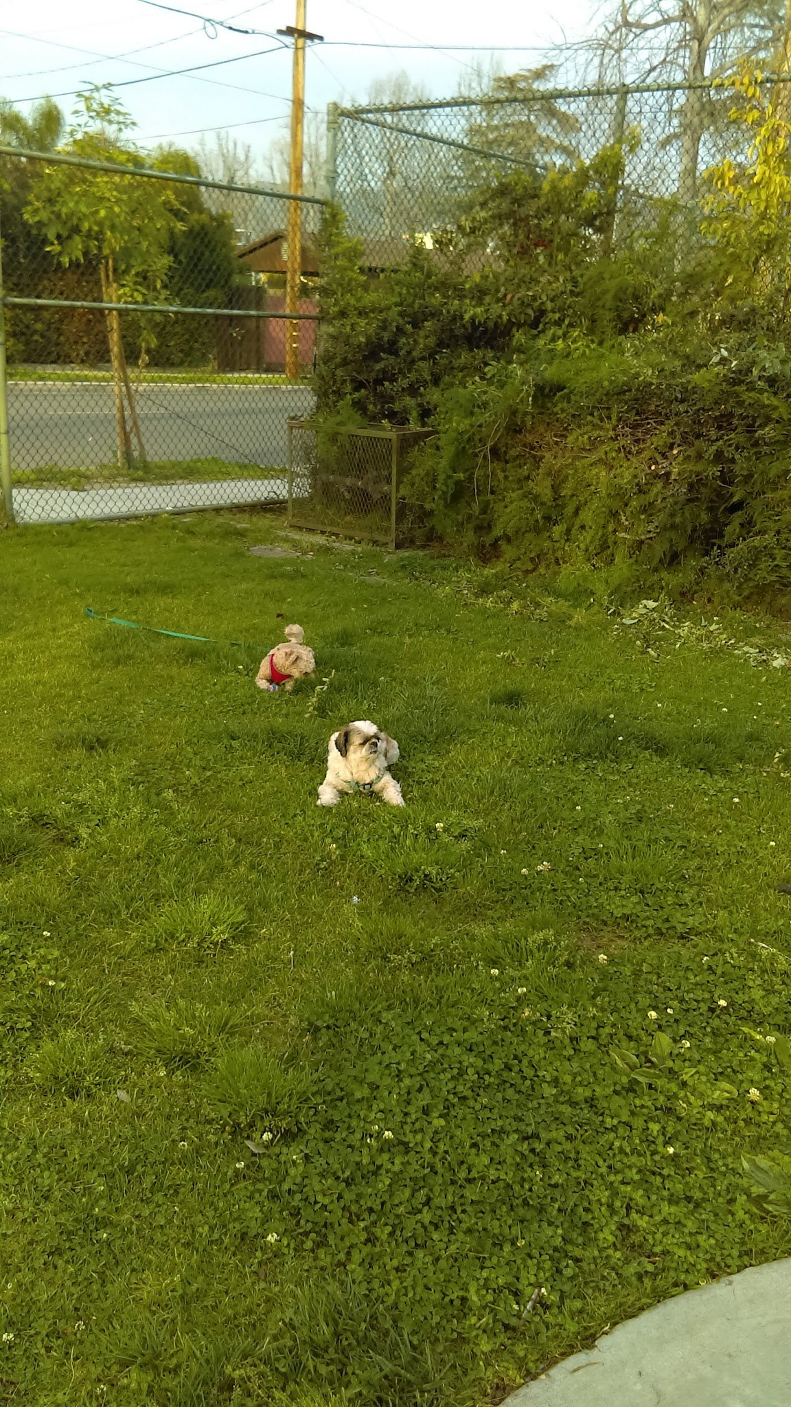 Maple Street Playground - Burbank, CA