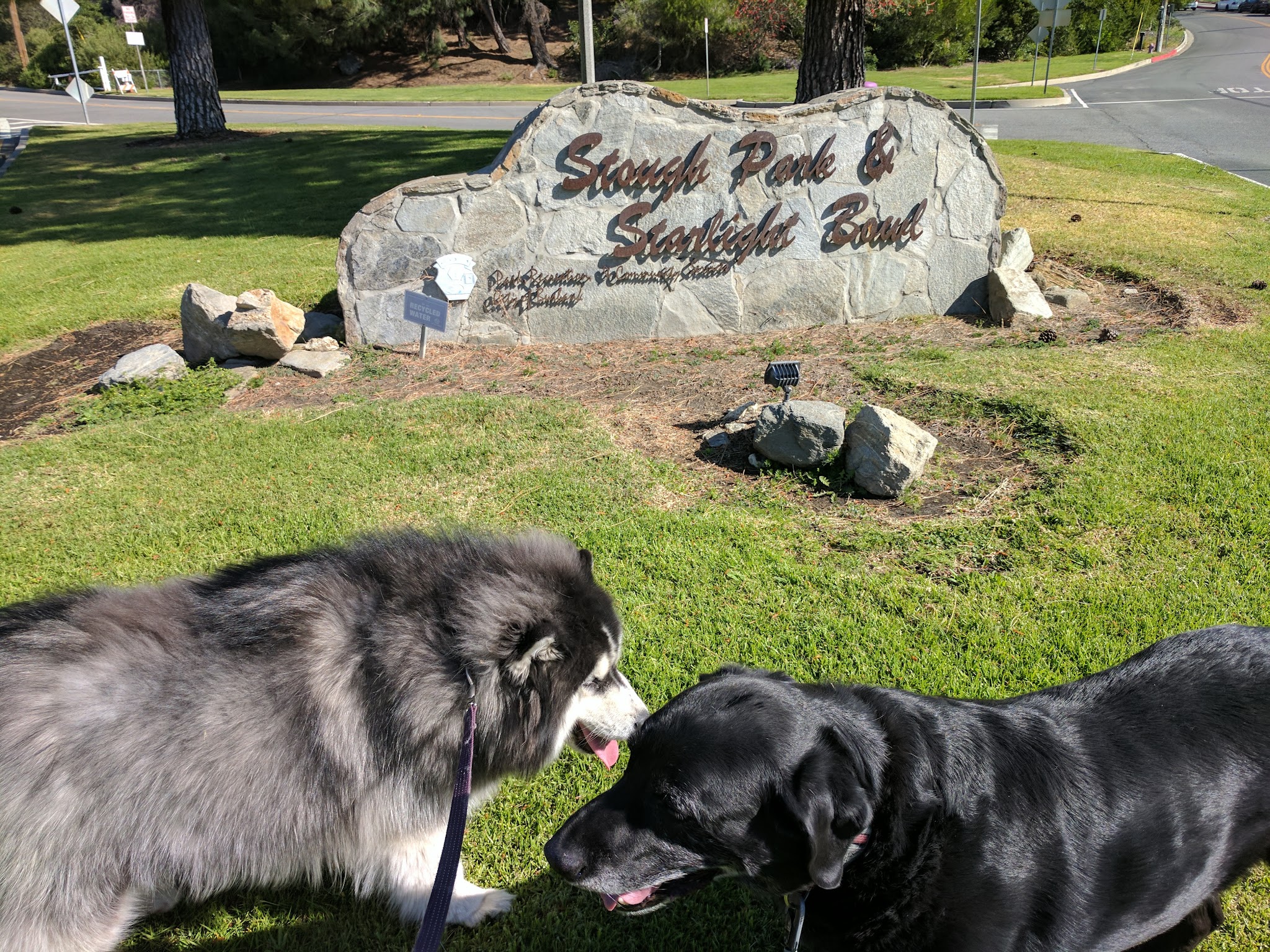 Stough Canyon Park - Burbank, CA