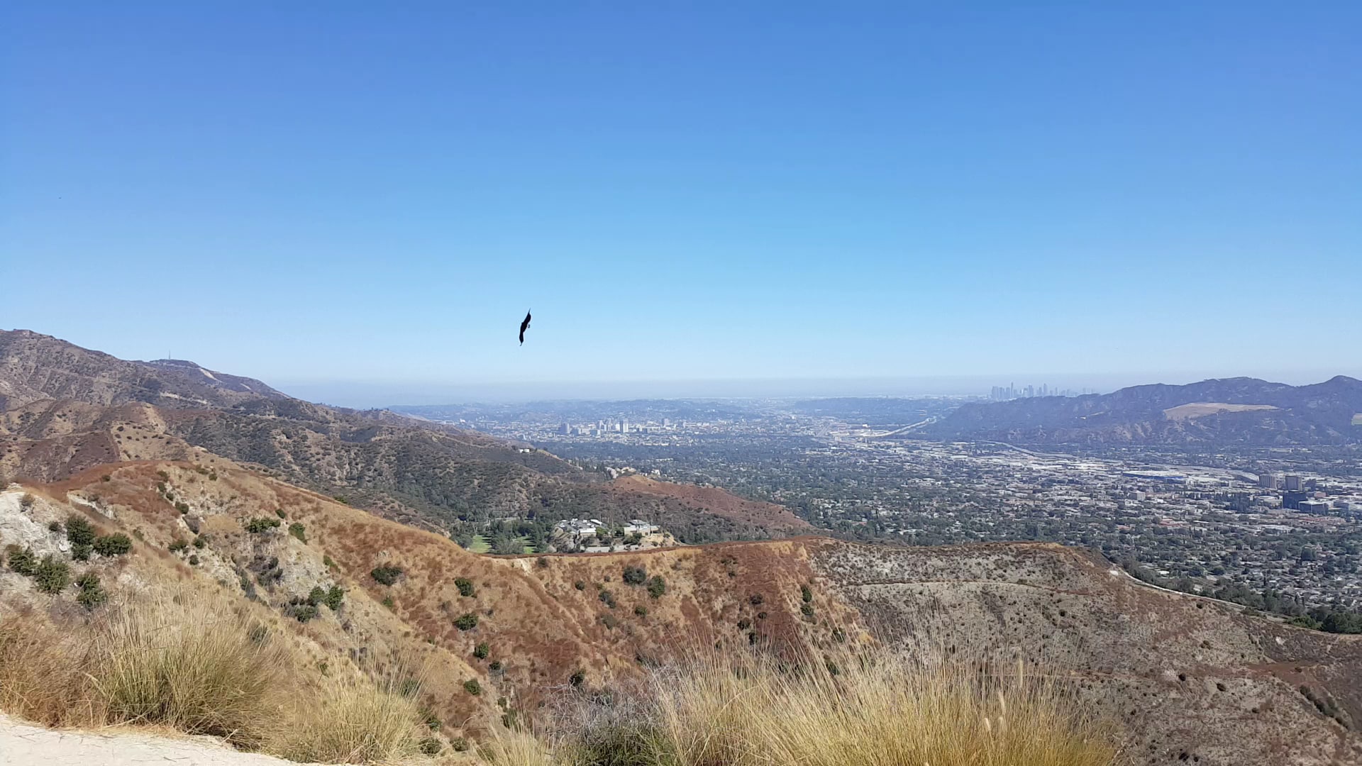 The Henry Cook Lookout Point - Burbank, CA