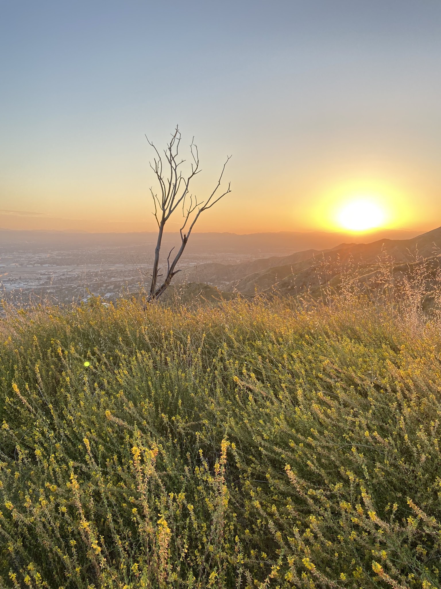 The Henry Cook Lookout Point - Burbank, CA