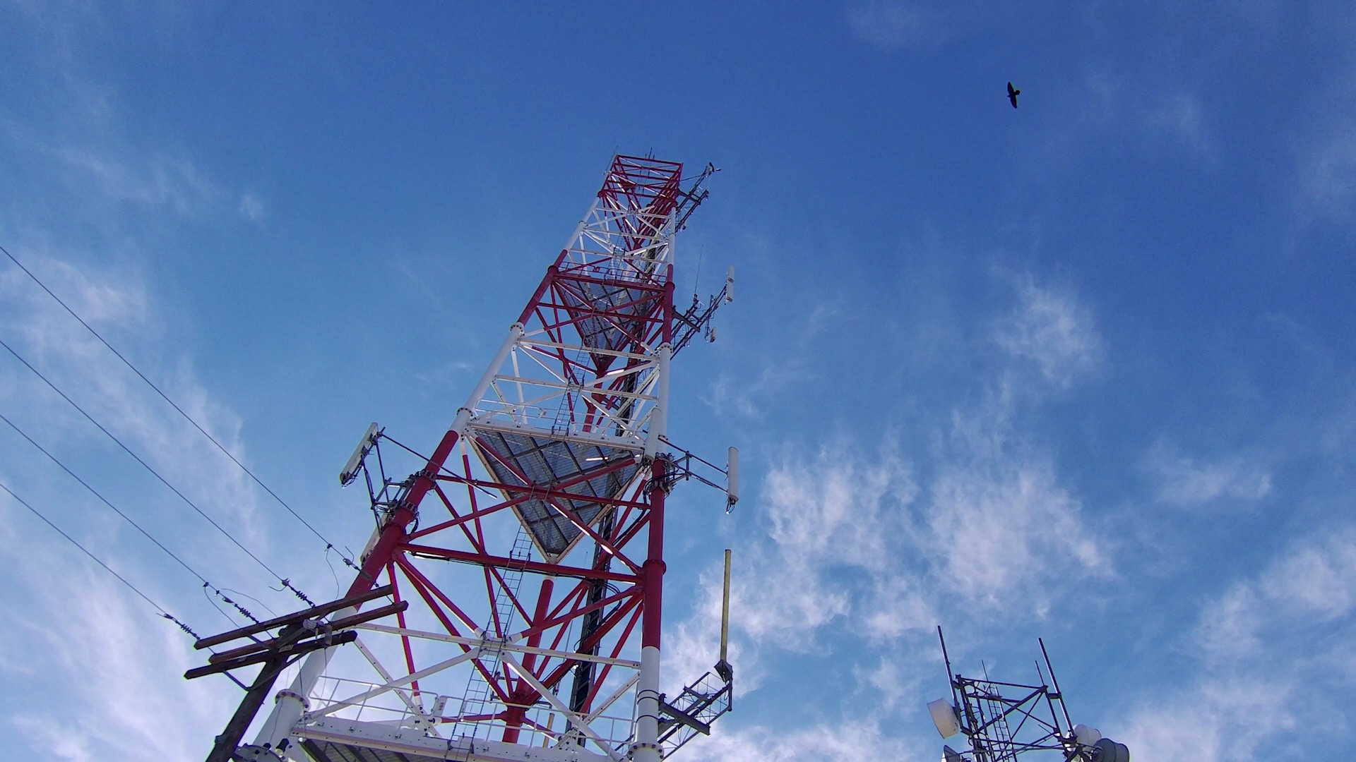 Wildwood Canyon Park - Burbank, CA