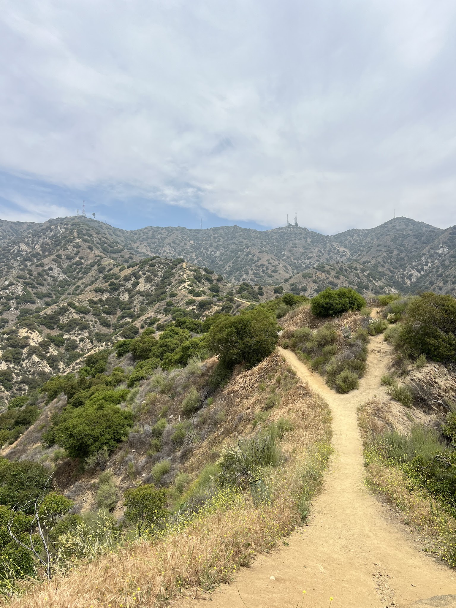 Wildwood Canyon Park - Burbank, CA