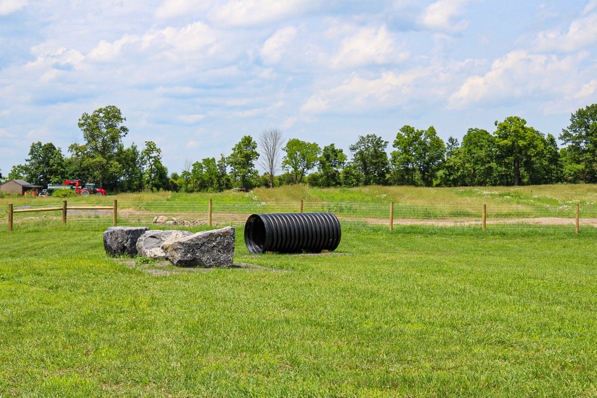 Beer Mountain Dog Park at Grist Iron Brewing Company - Burdett, NY