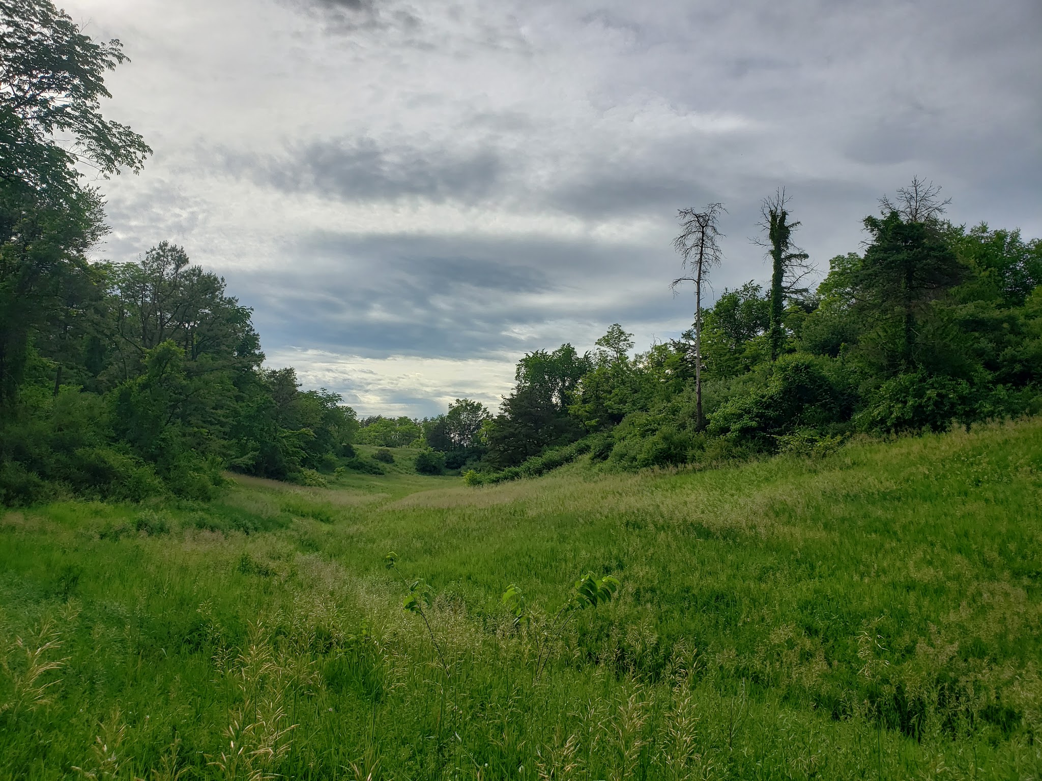Hillman State Park - Burgettstown, PA