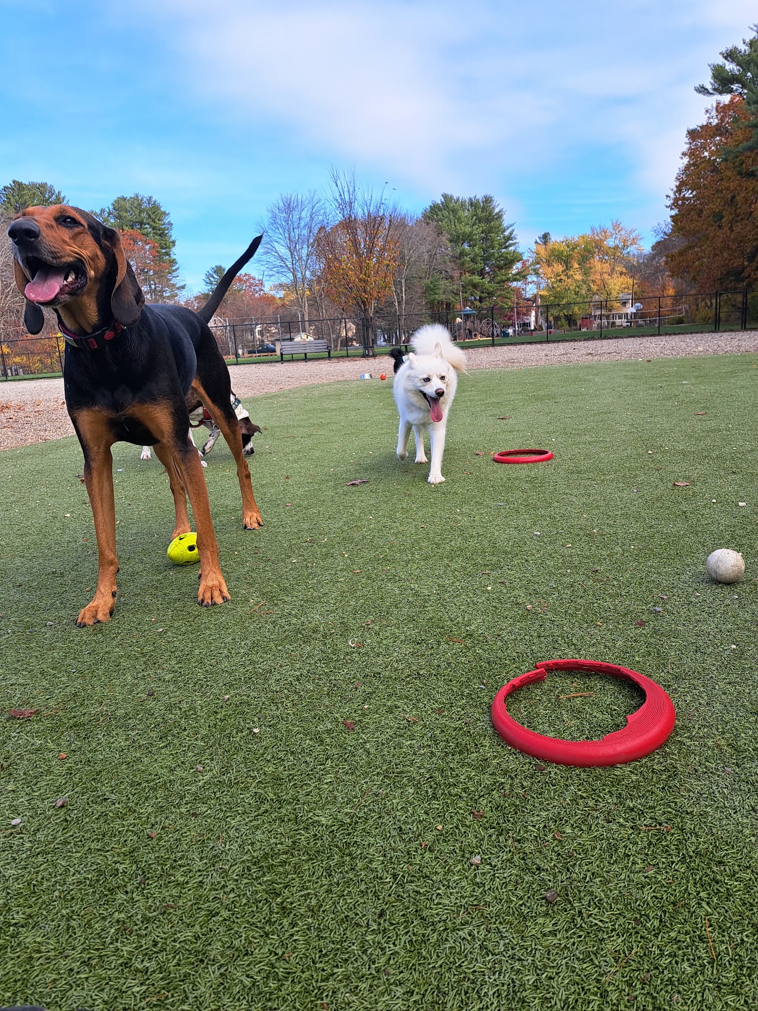 Rahanis Park - Burlington, MA