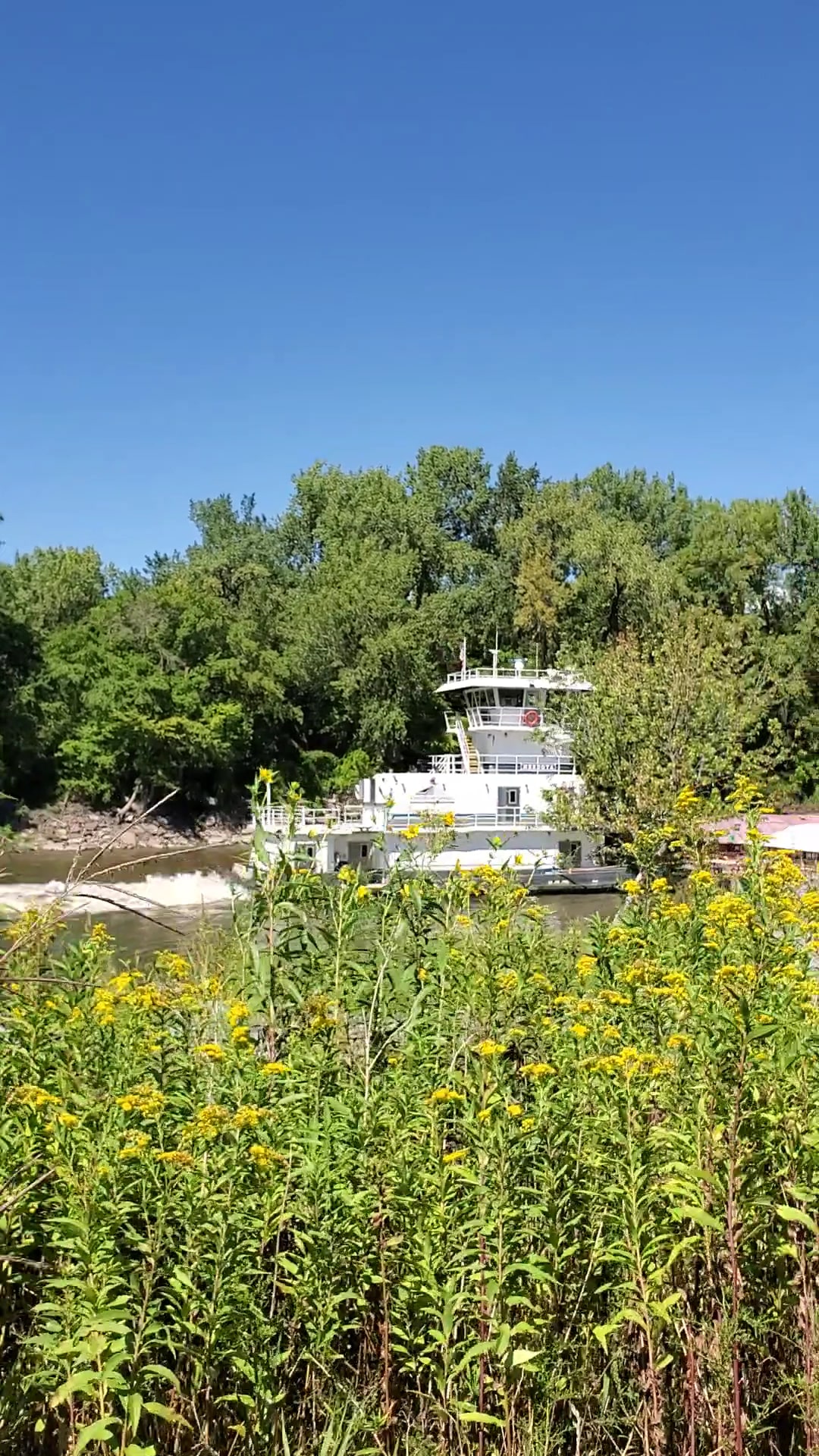 BlackDog Park - Burnsville, MN