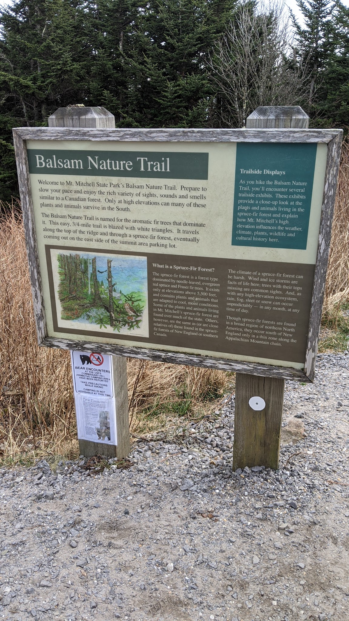 Balsam Nature Trail - Burnsville, NC