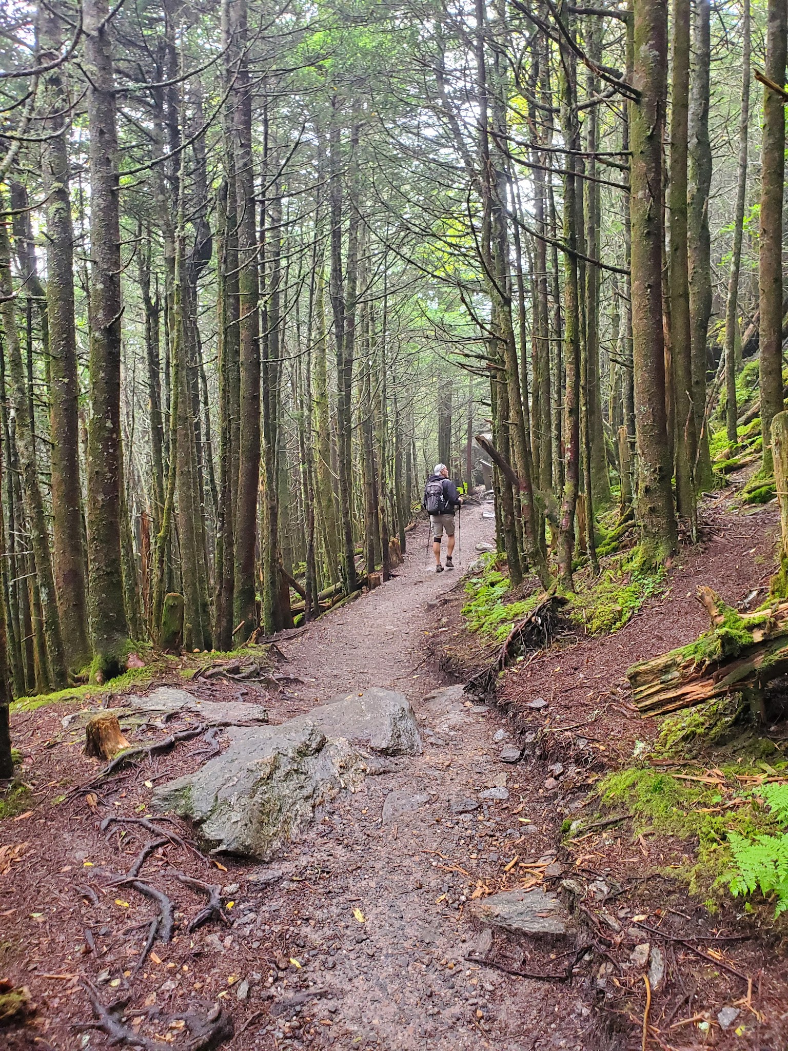 Balsam Nature Trail - Burnsville, NC