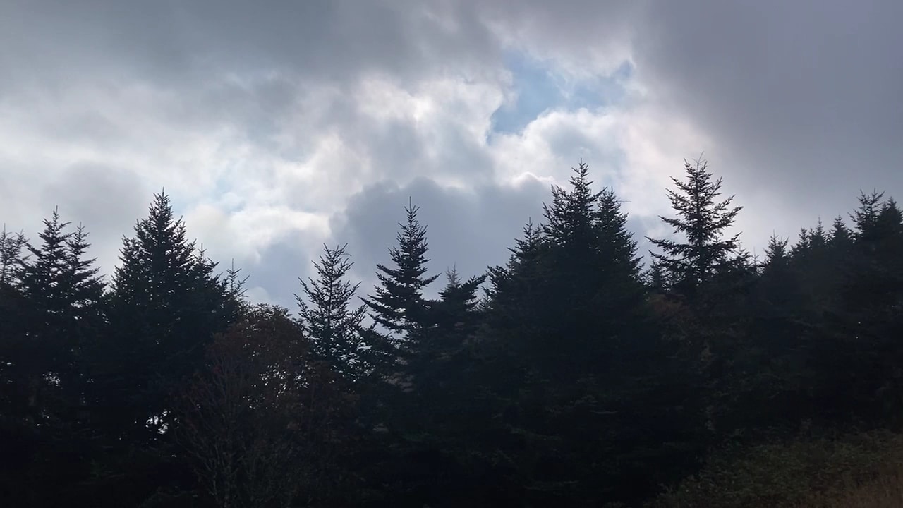 Balsam Nature Trail - Burnsville, NC