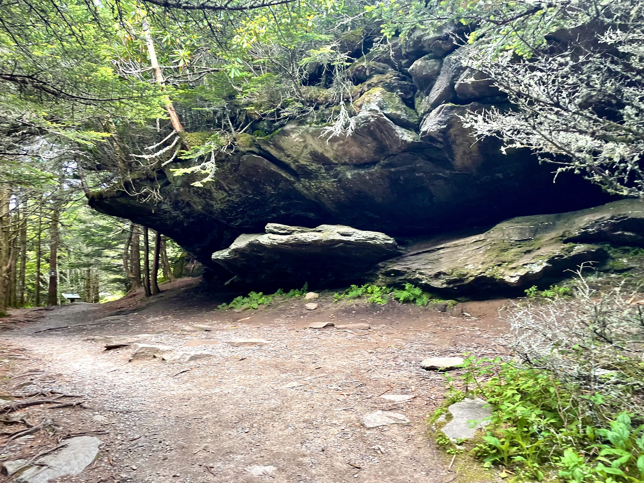 Balsam Nature Trail - Burnsville, NC