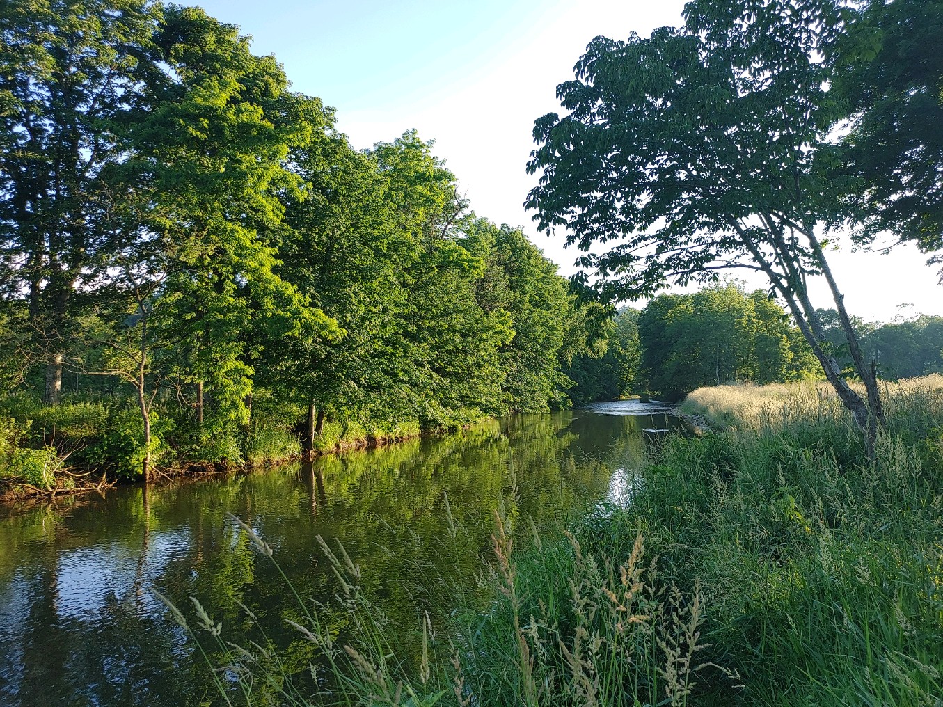 Cane River Park - Burnsville, NC