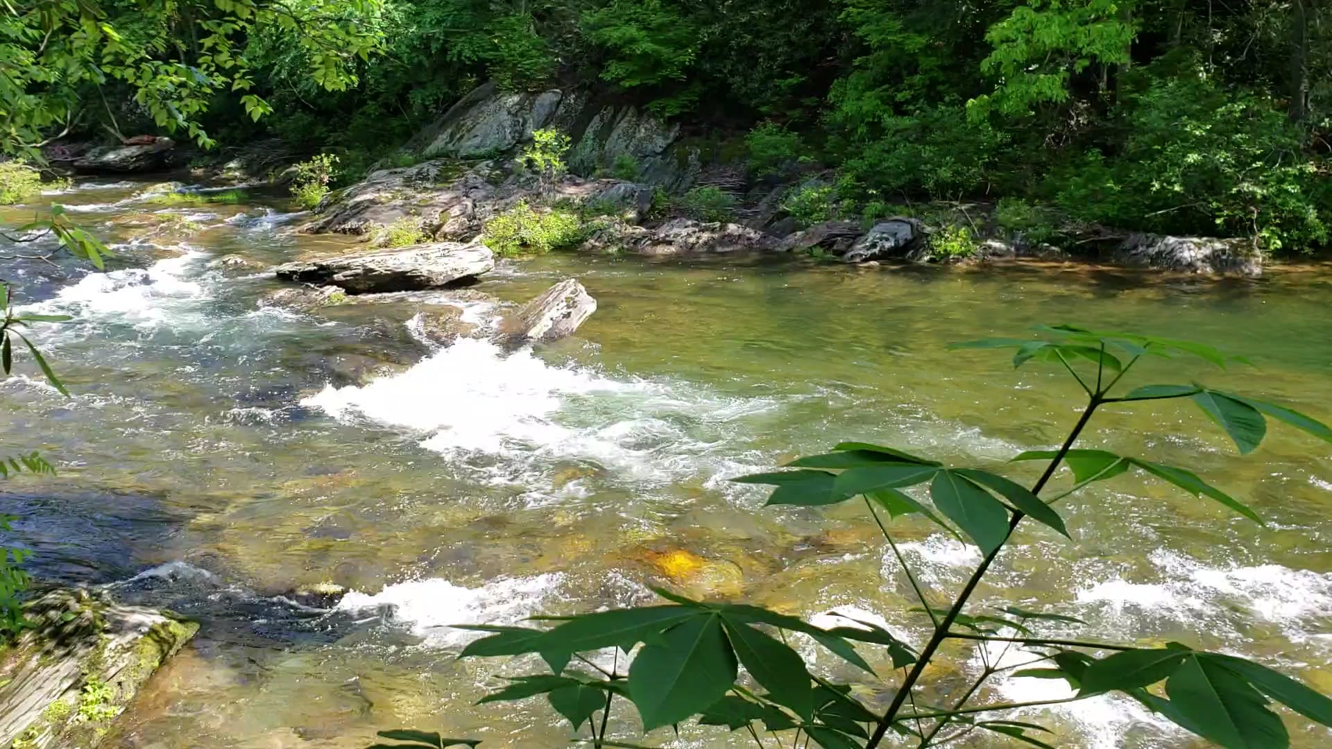Carolina Hemlocks Recreation Area - Burnsville, NC