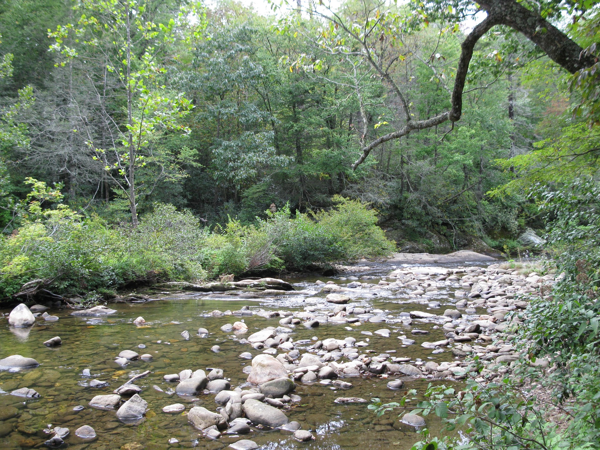 Carolina Hemlocks Recreation Area - Burnsville, NC