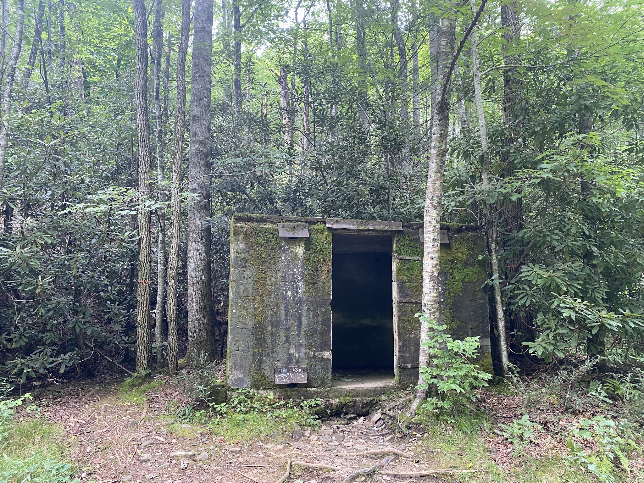 Roaring Fork Falls Trailhead - Burnsville, NC