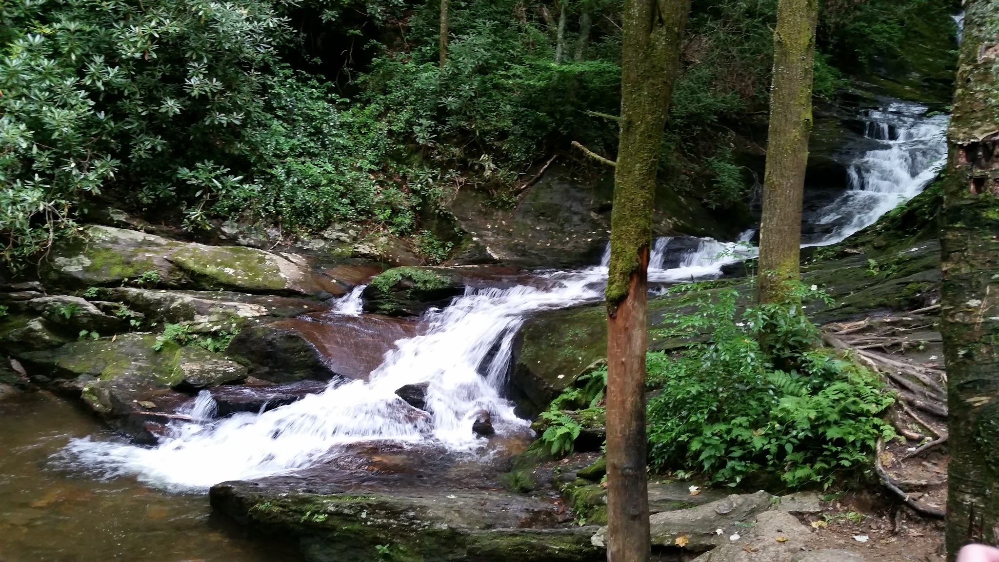 Roaring Fork Falls Trailhead - Burnsville, NC