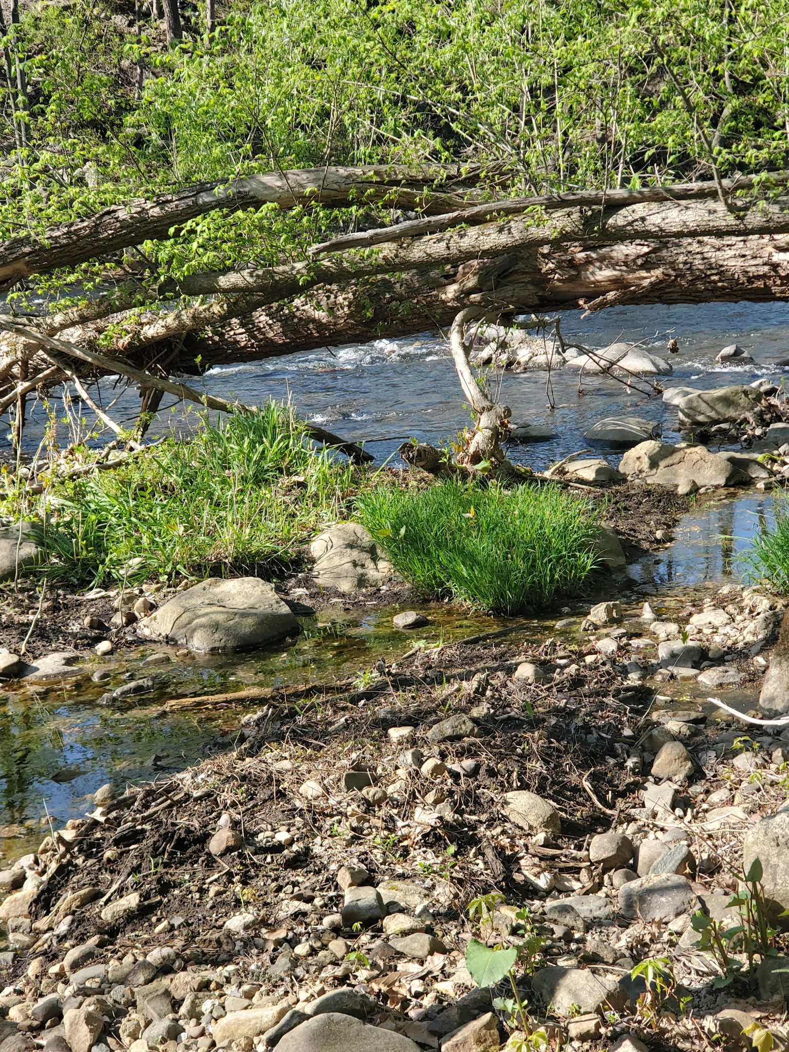 Yapewi Park - Butler, NJ