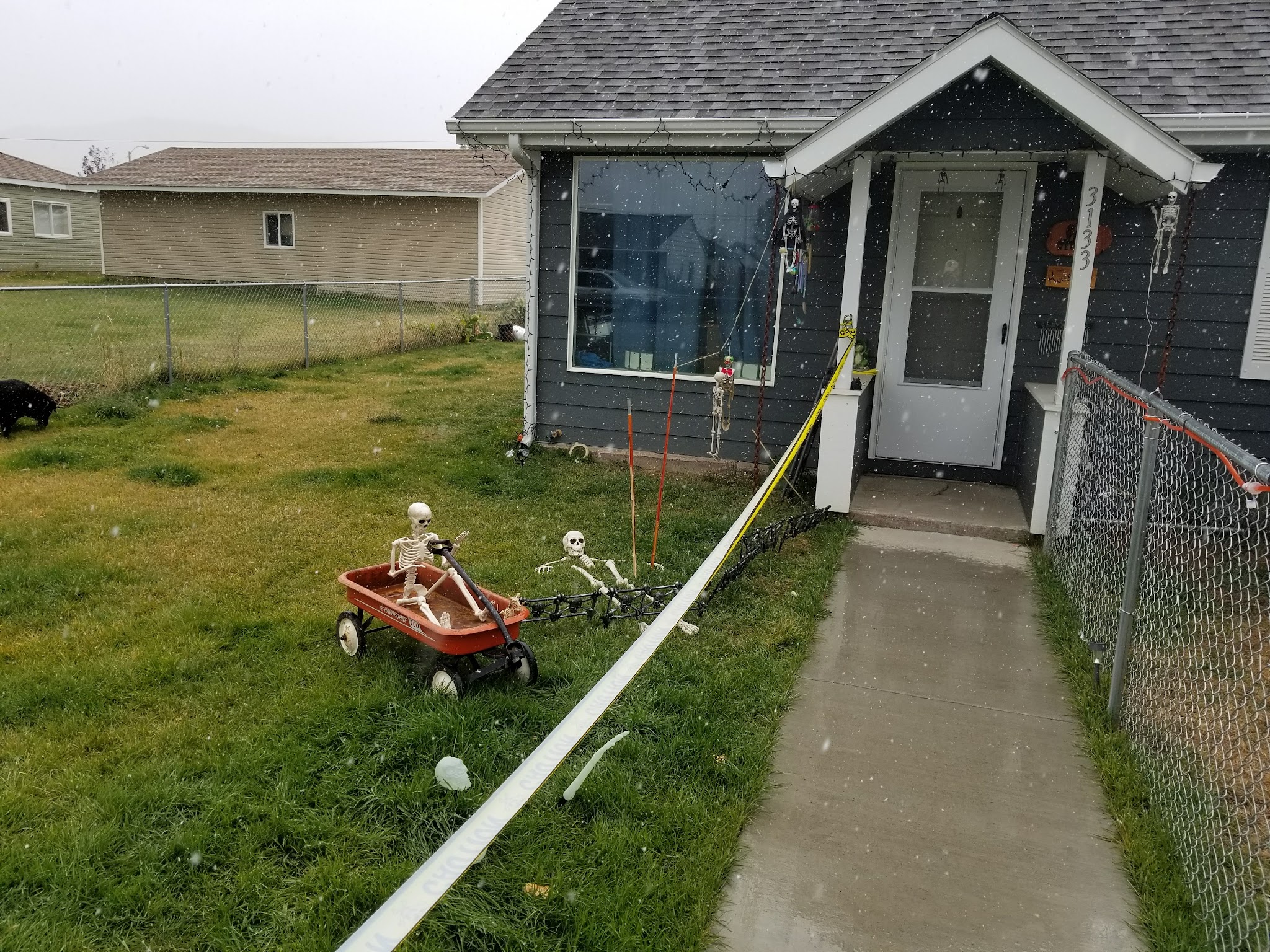 Longfellow Fields - Butte, MT