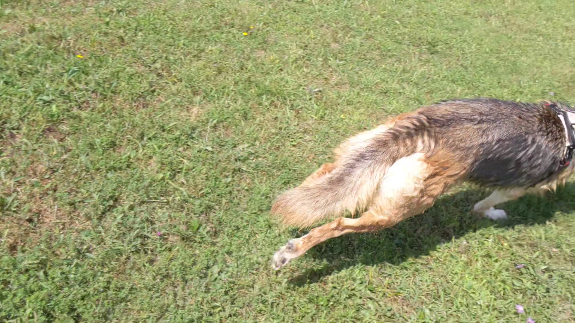 Trestle Park - Byron, NY