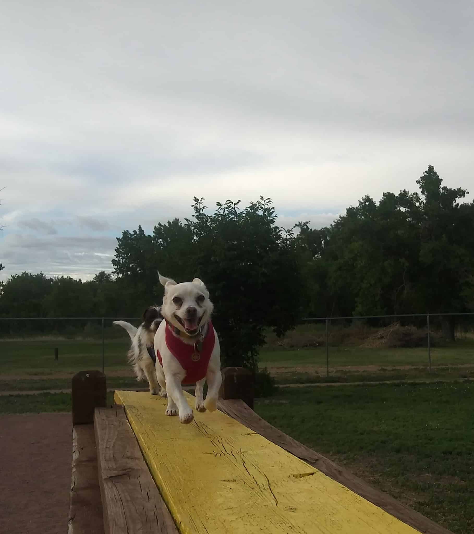 Off Leash Dog Park - Cañon City, CO