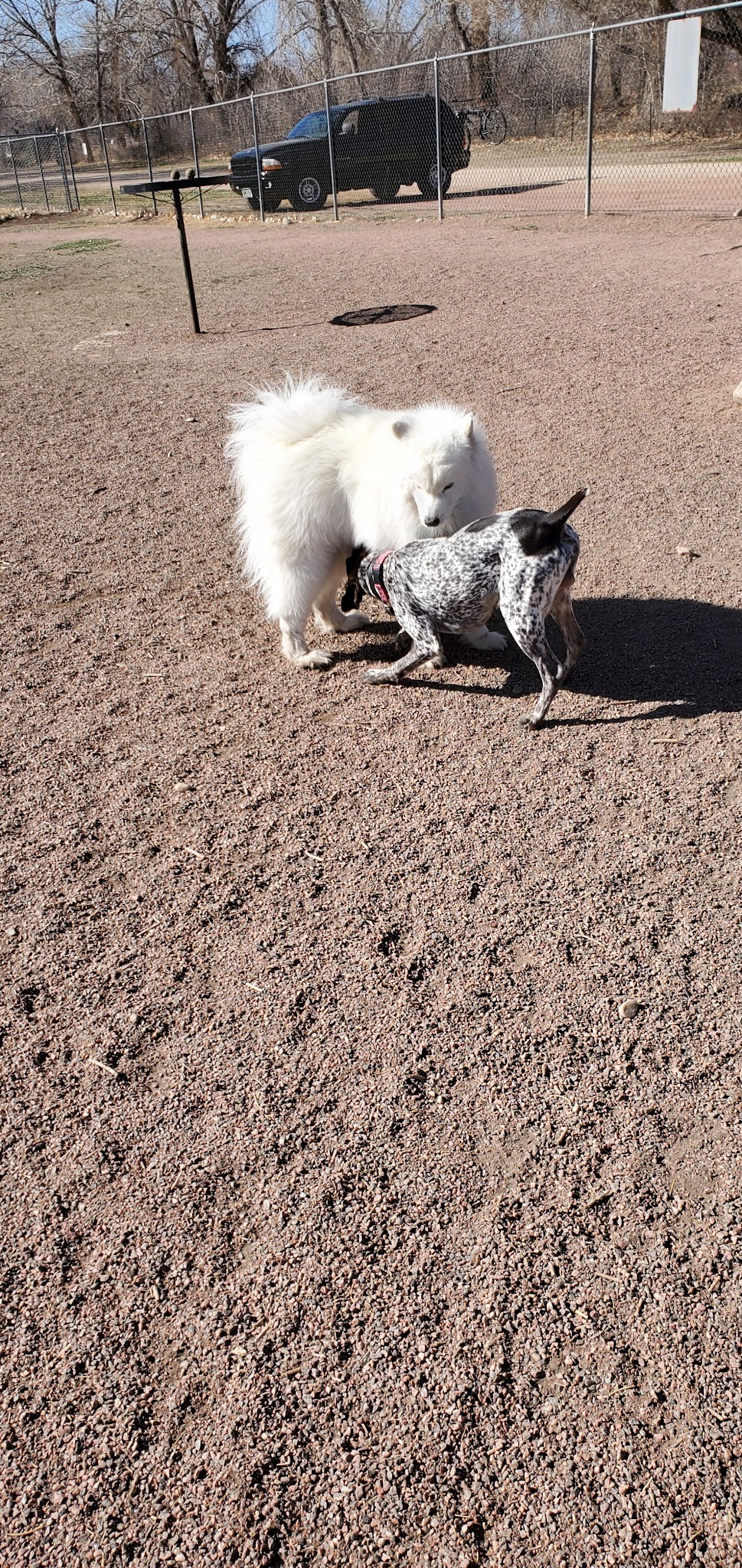 Off Leash Dog Park - Cañon City, CO