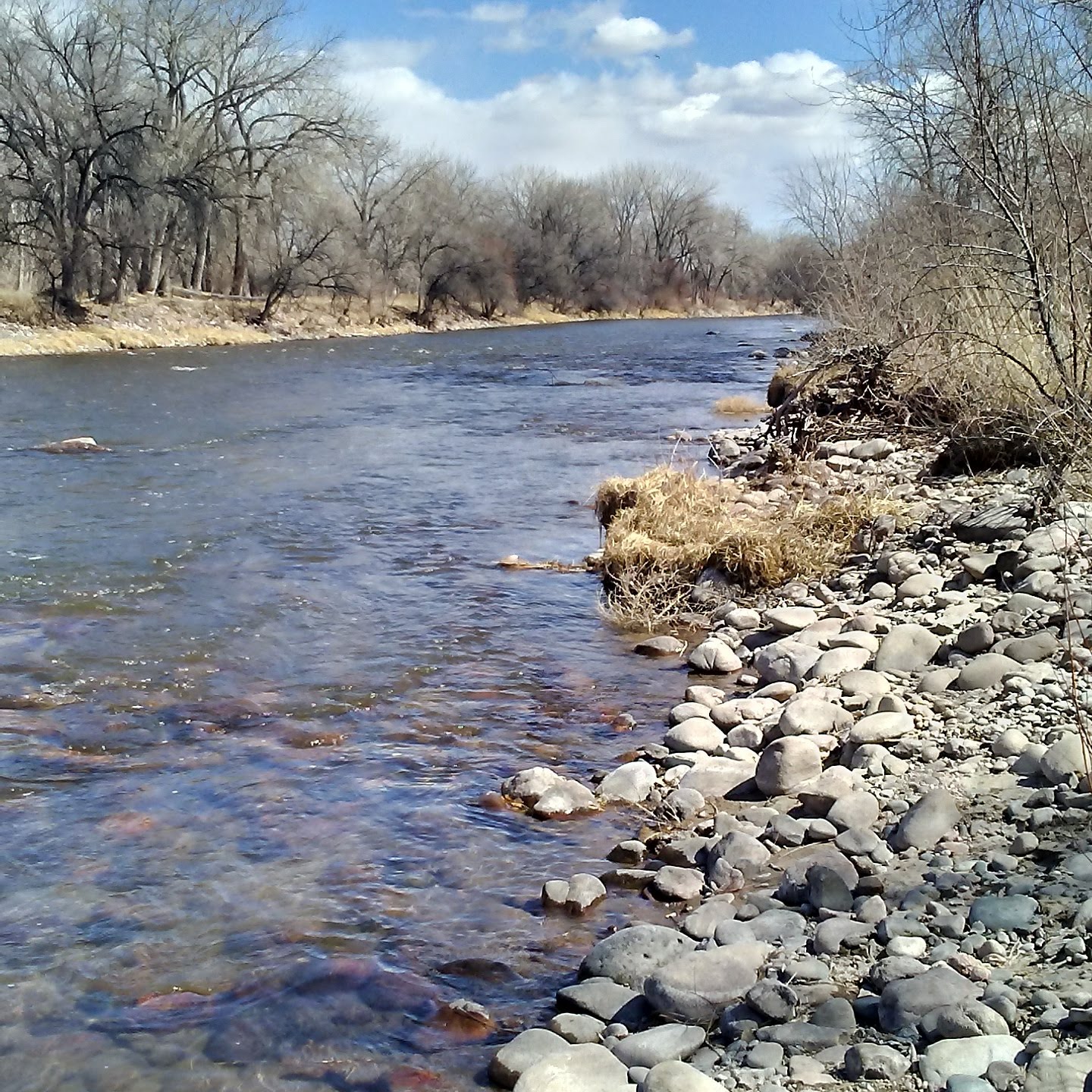 Off Leash Dog Park - Cañon City, CO