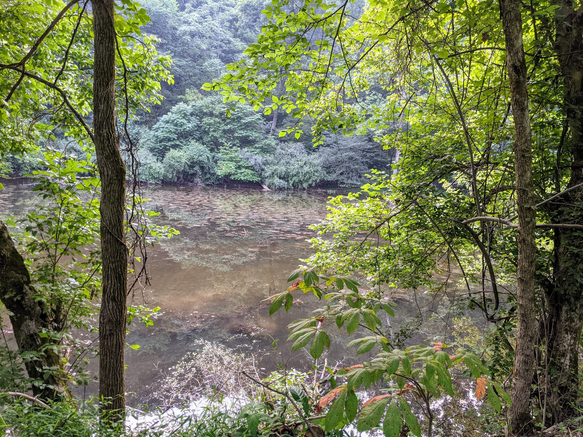 North Bend Trail Head East - Cairo, WV