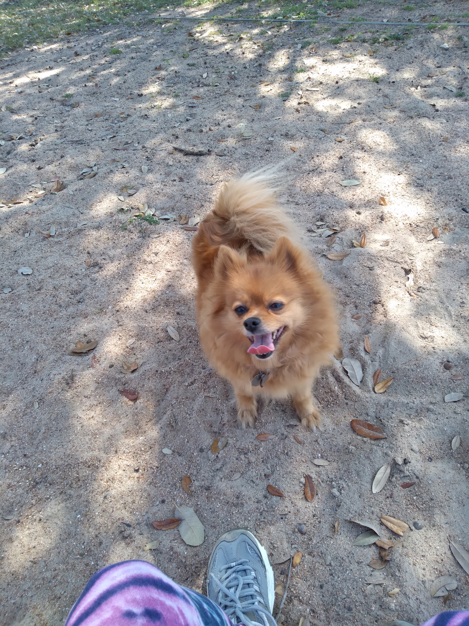 Santa Fe Park - Caldwell, TX