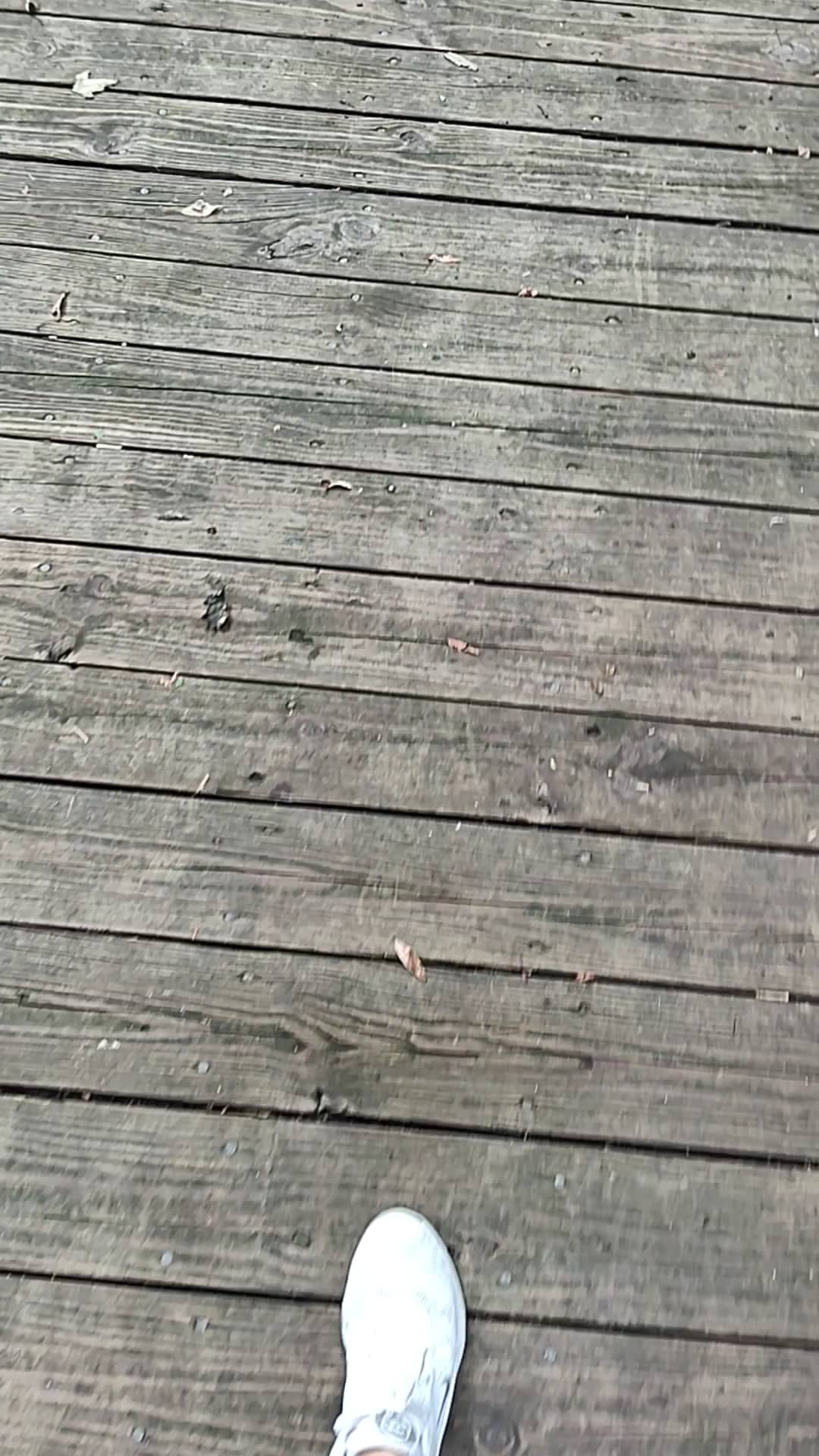 Caledonia Community Green Dog Park - Caledonia, MI