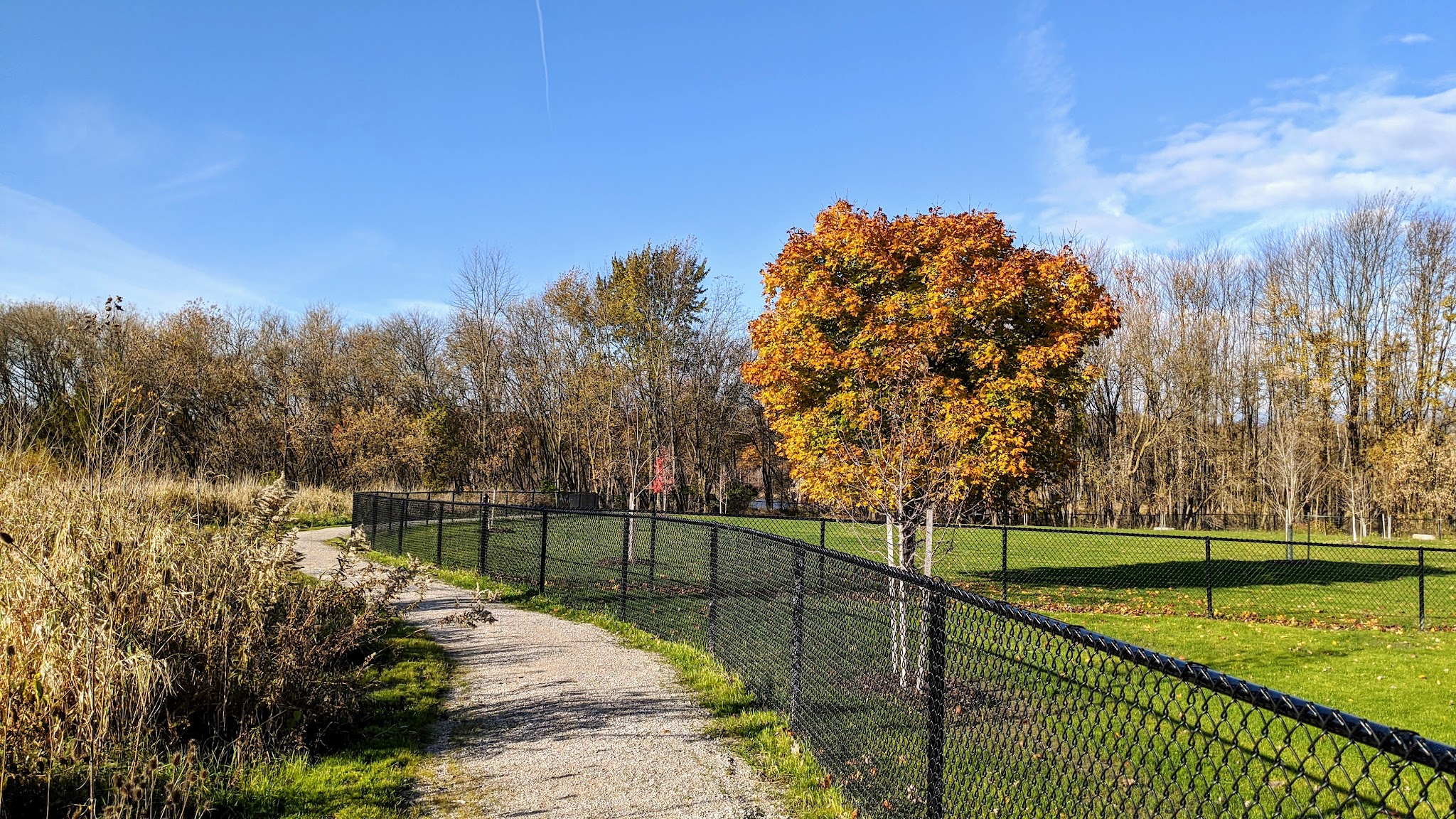 Caledonia Community Green Dog Park - Caledonia, MI