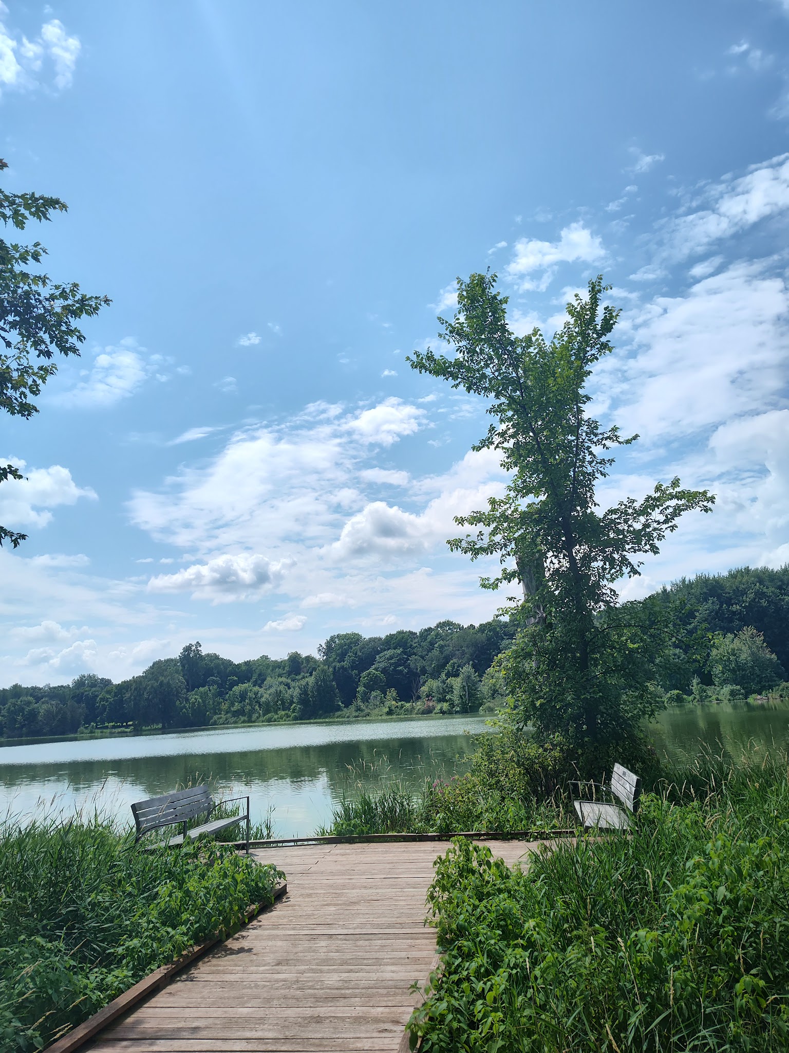 Caledonia Community Green Dog Park - Caledonia, MI