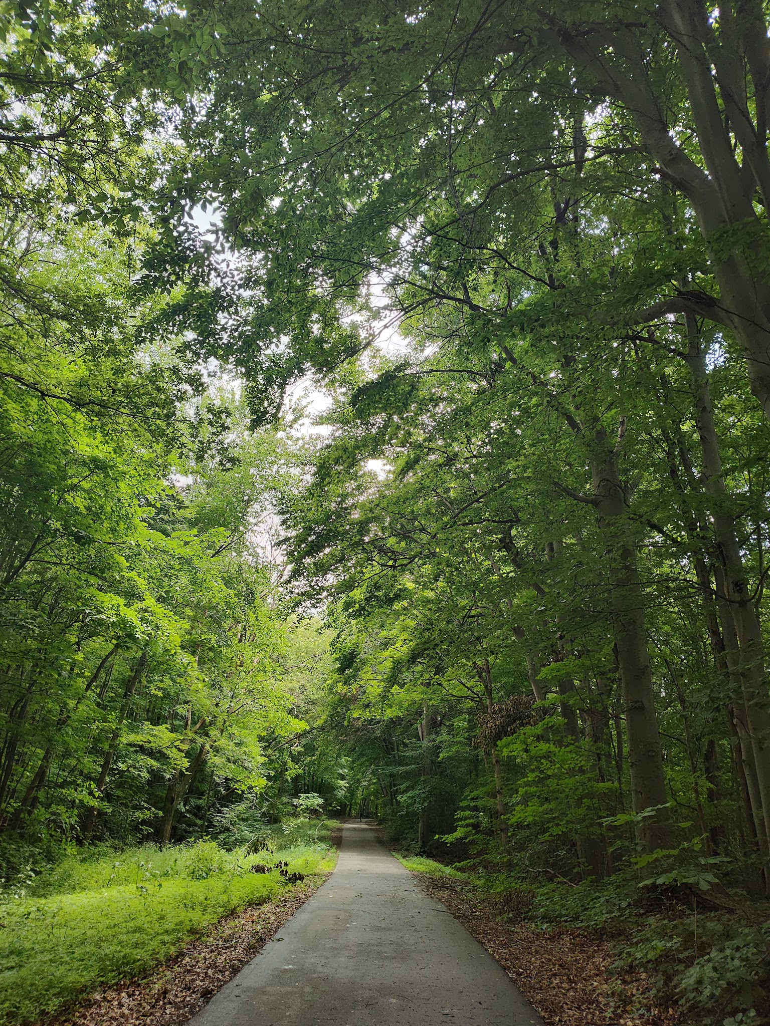 Caledonia Community Green Dog Park - Caledonia, MI