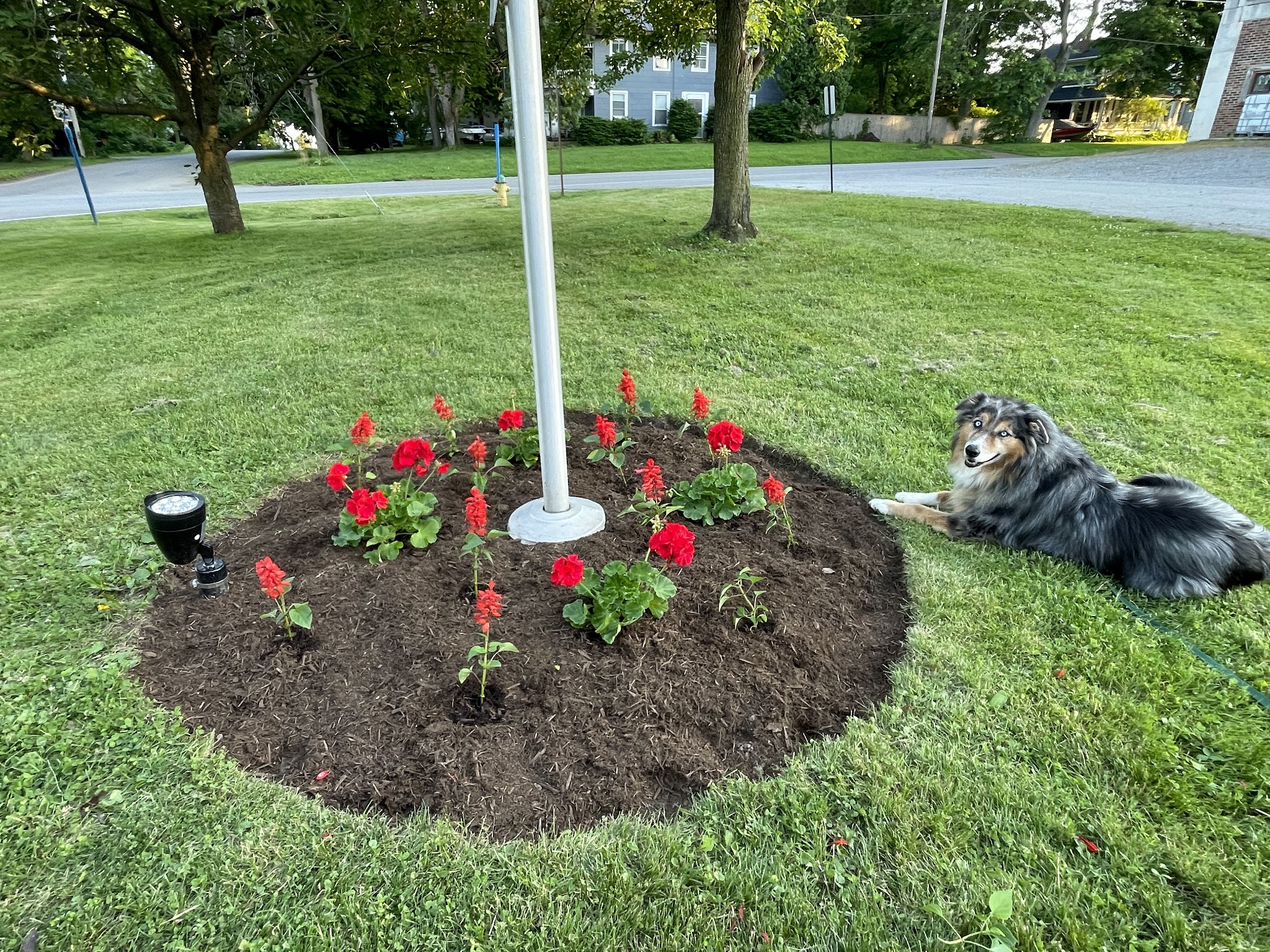 Susz Square - Caledonia, NY