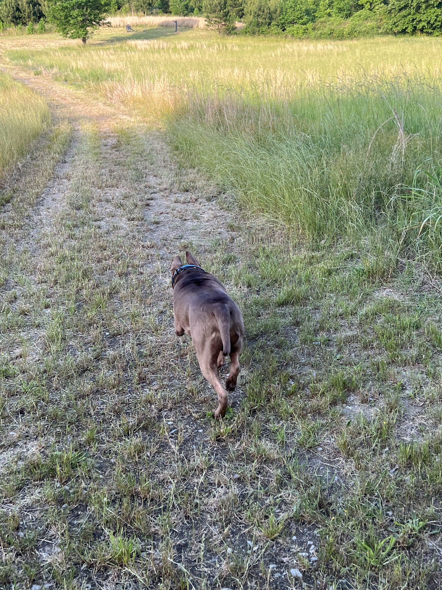Ooky Memorial Park - Calhoun, GA