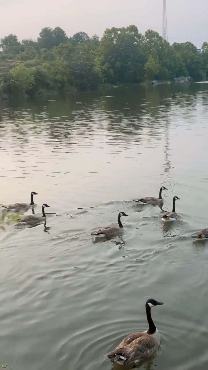 Ooky Memorial Park - Calhoun, GA