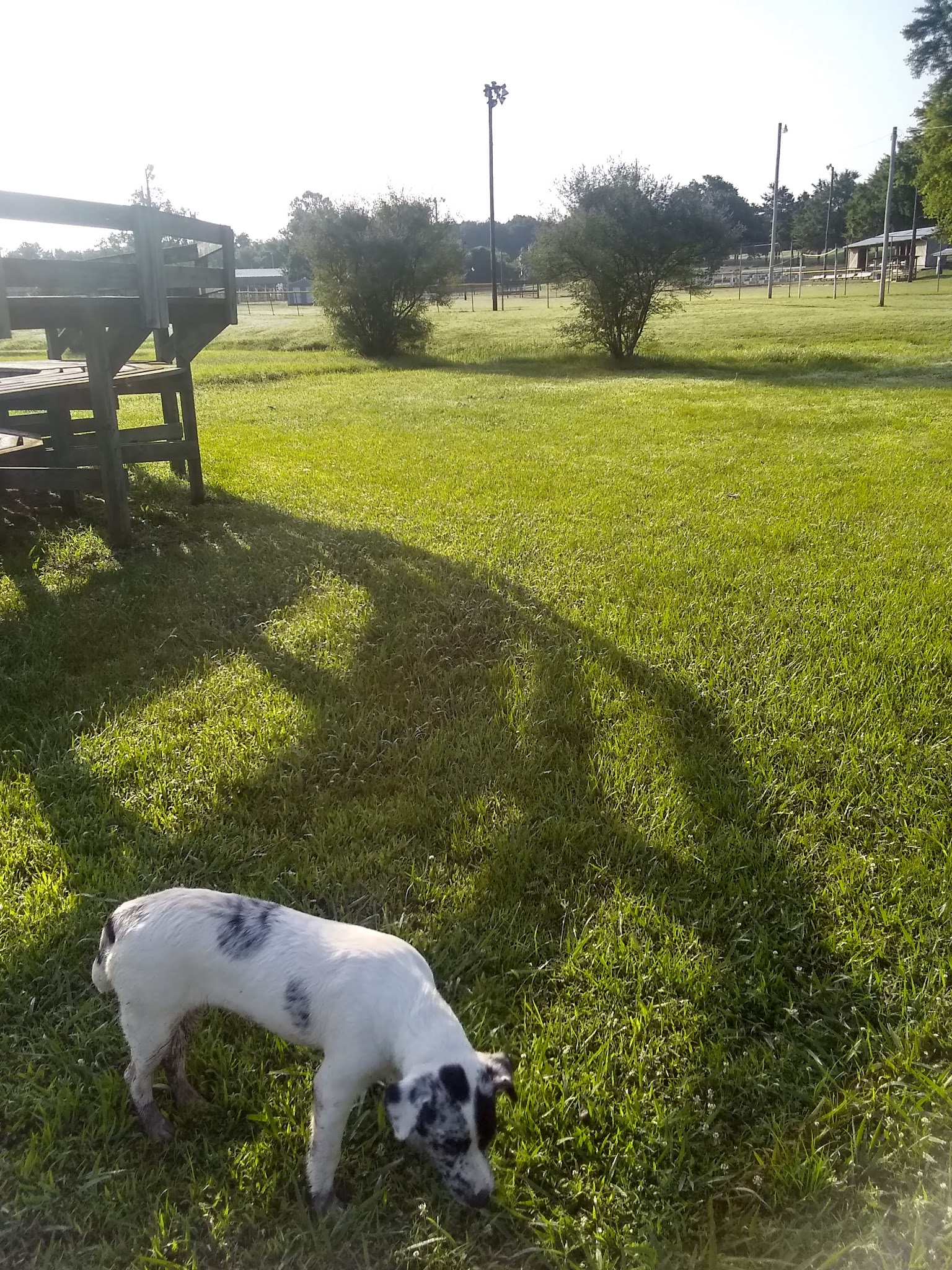 Earl King Park - Calico Rock, AR