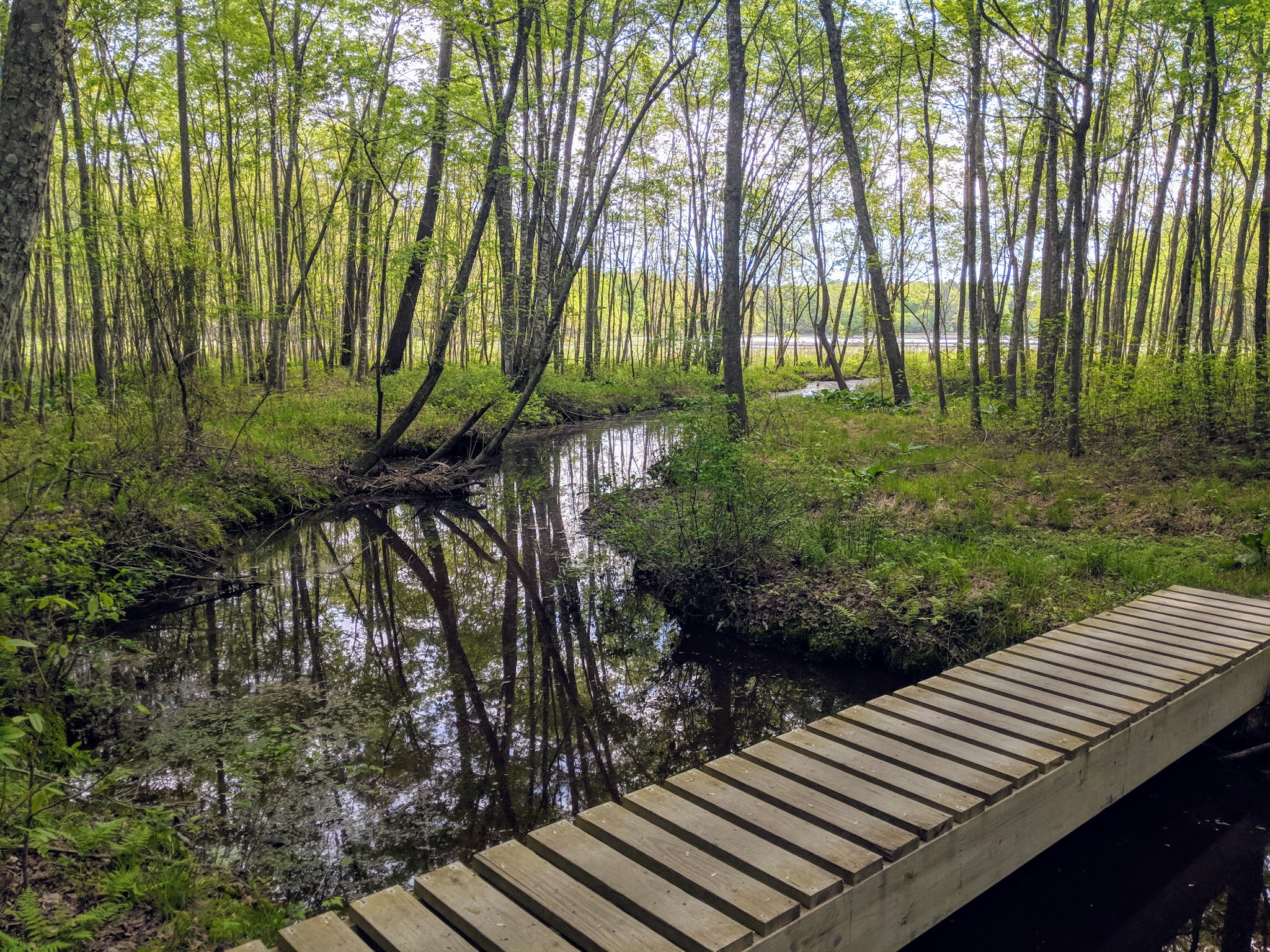 St Marys River Watershed Park - California, MD