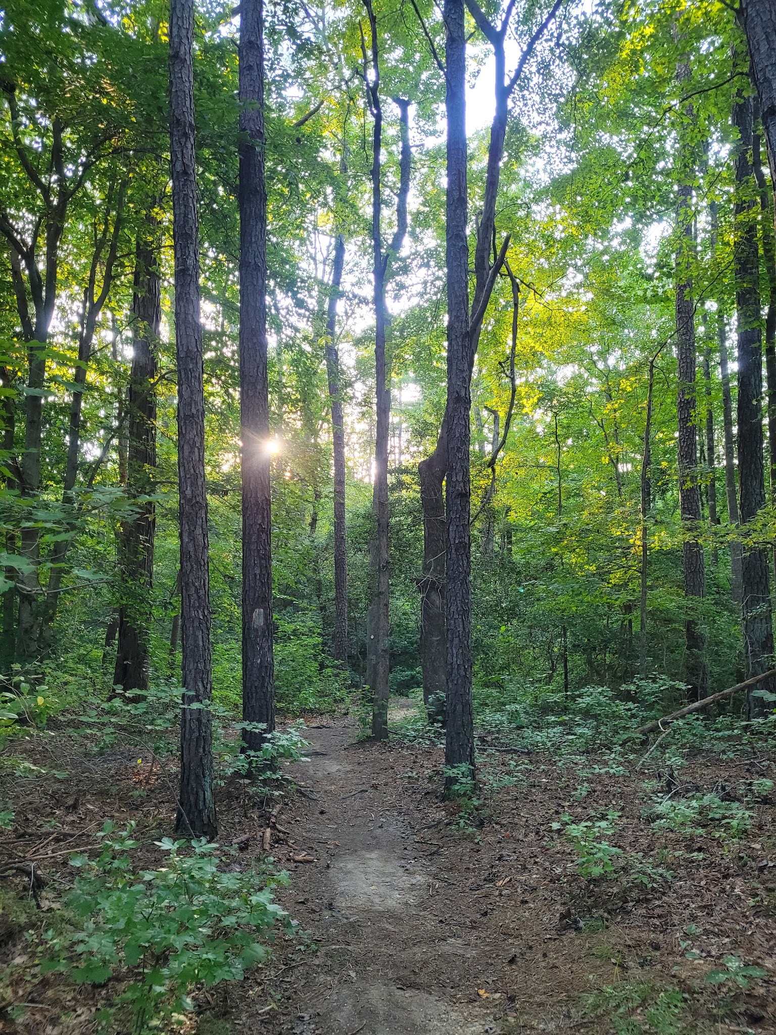 St Marys River Watershed Park - California, MD
