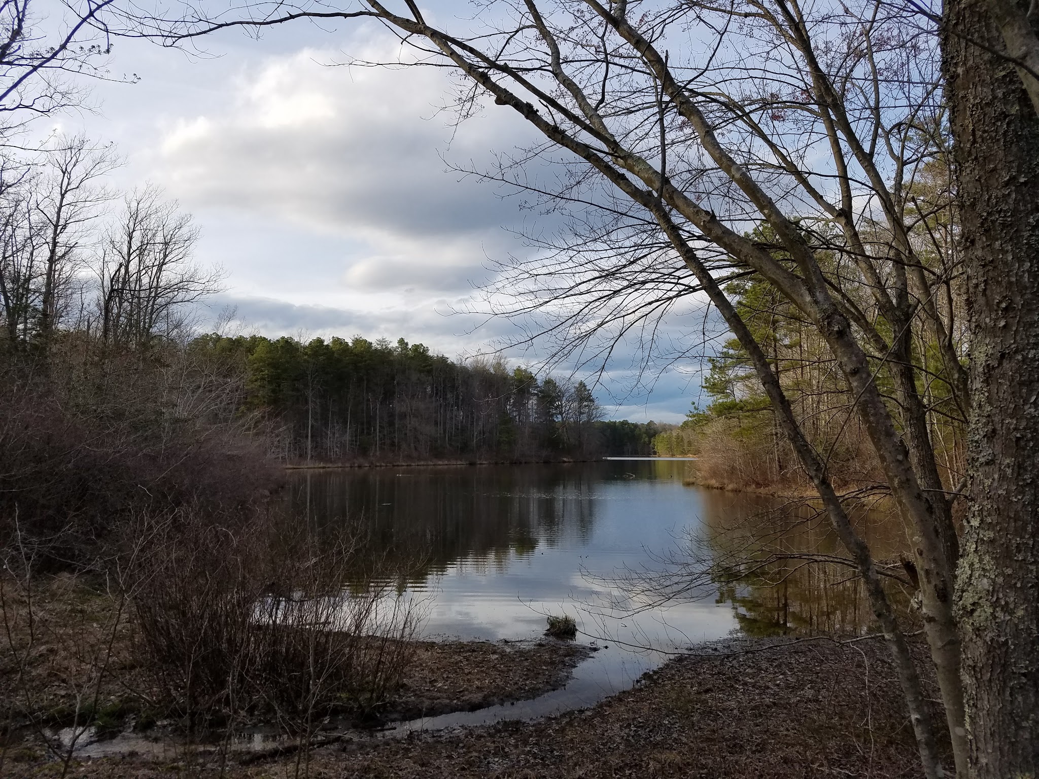 St Marys River Watershed Park - California, MD