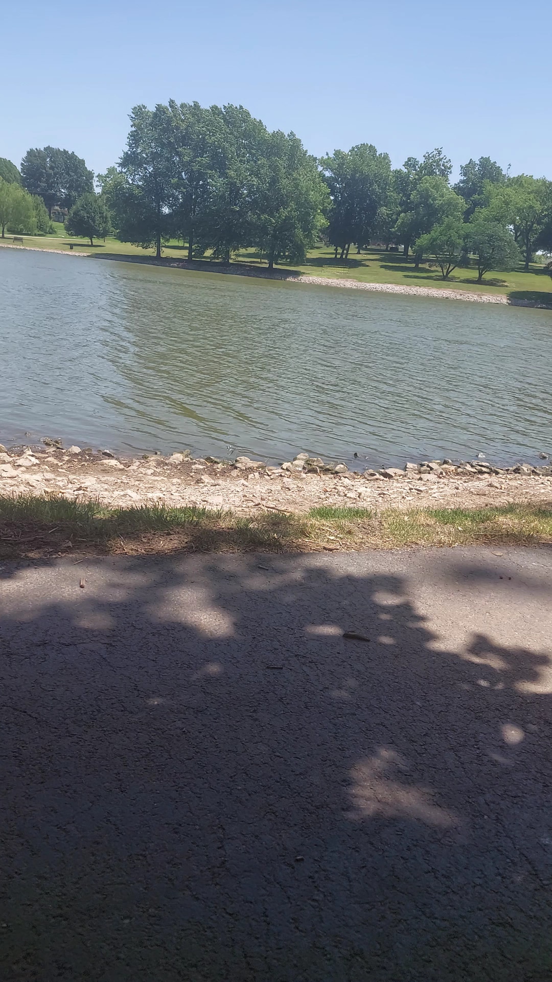 Proctor Park - California, MO