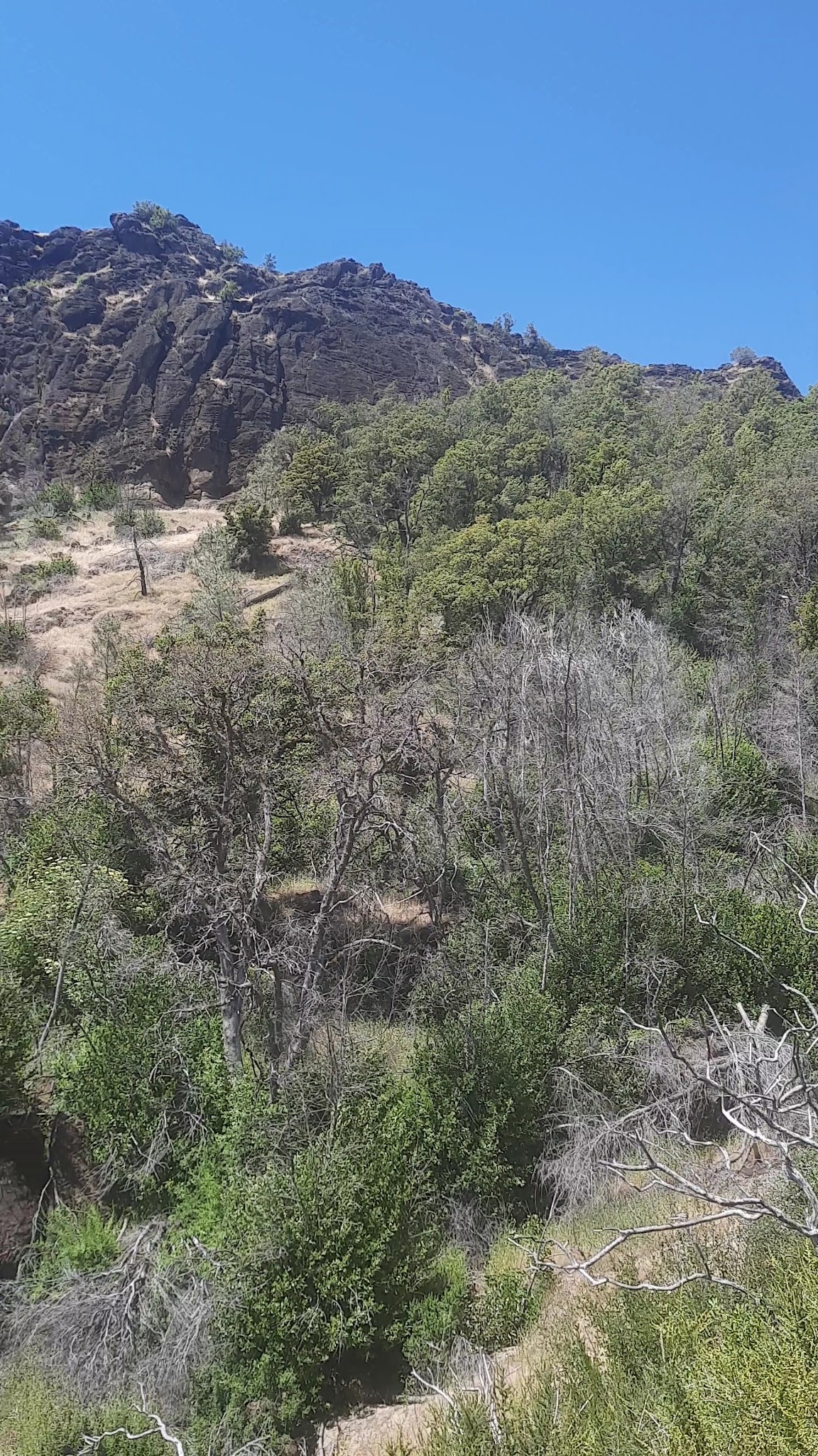 Oat Hill Mine Trailhead - Calistoga, CA