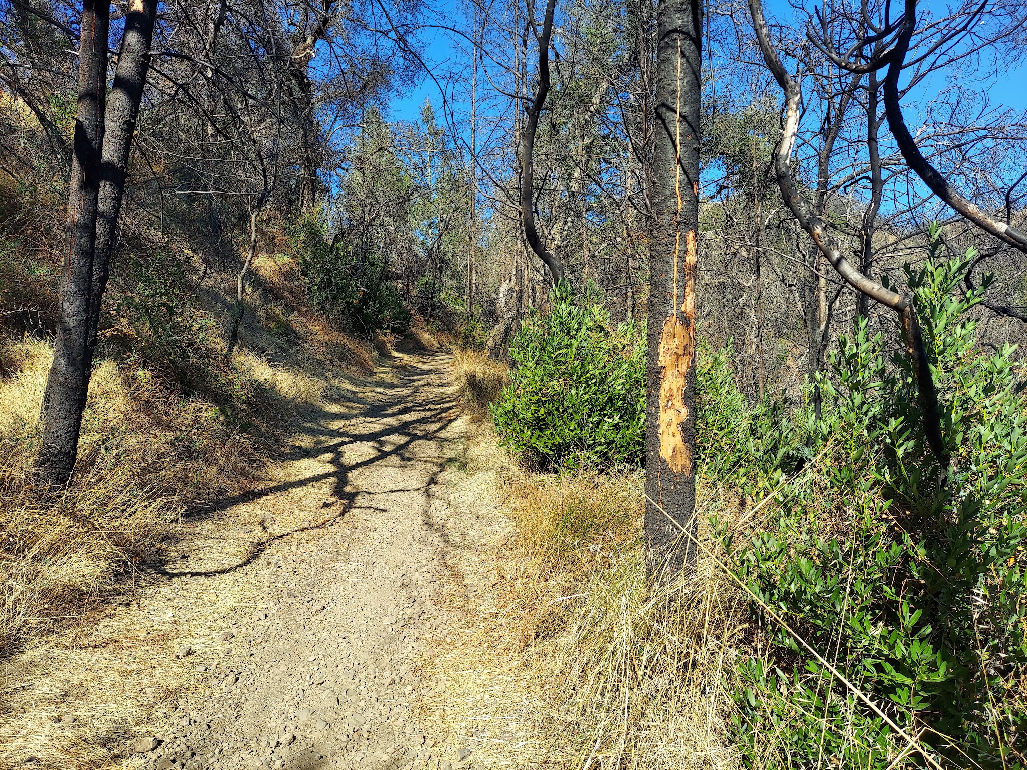 Oat Hill Mine Trailhead - Calistoga, CA