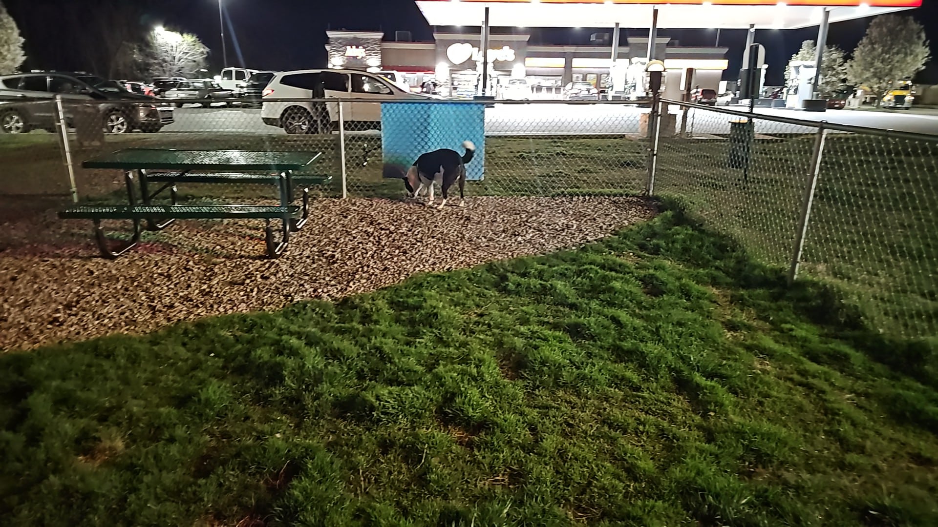 Dog Park at Love's Travel Stops - Calvert City, KY