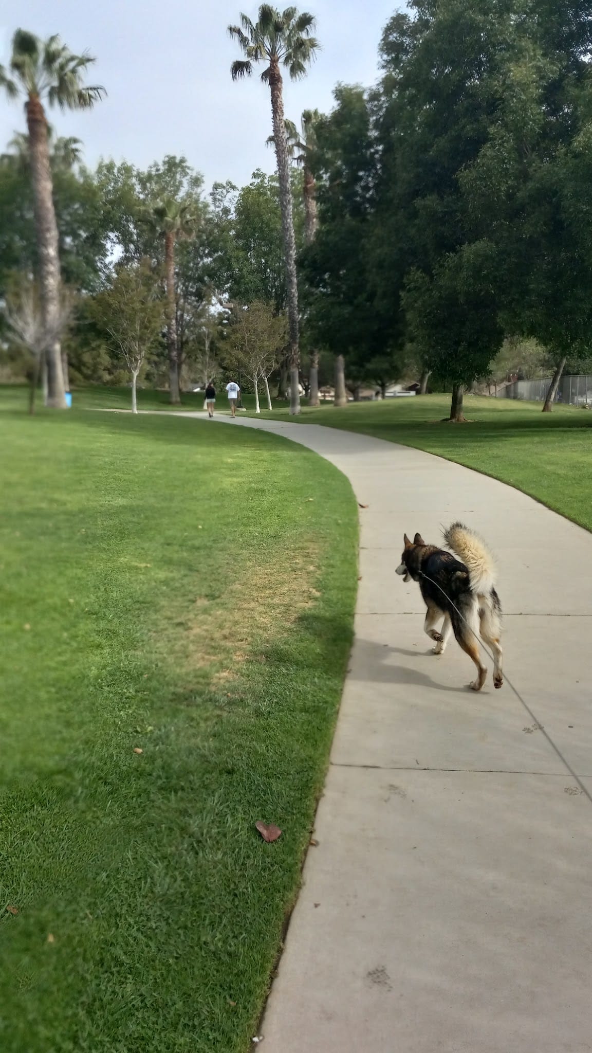 Mission Oaks Dog Park - Camarillo, CA