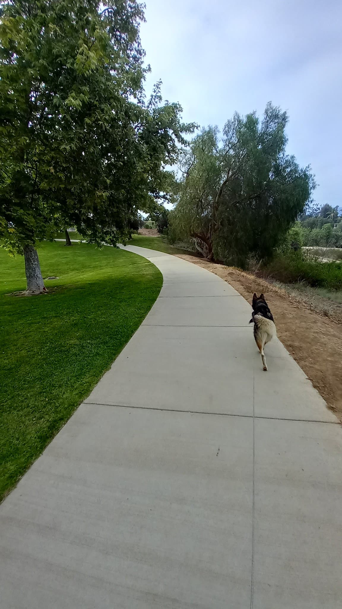 Mission Oaks Dog Park - Camarillo, CA