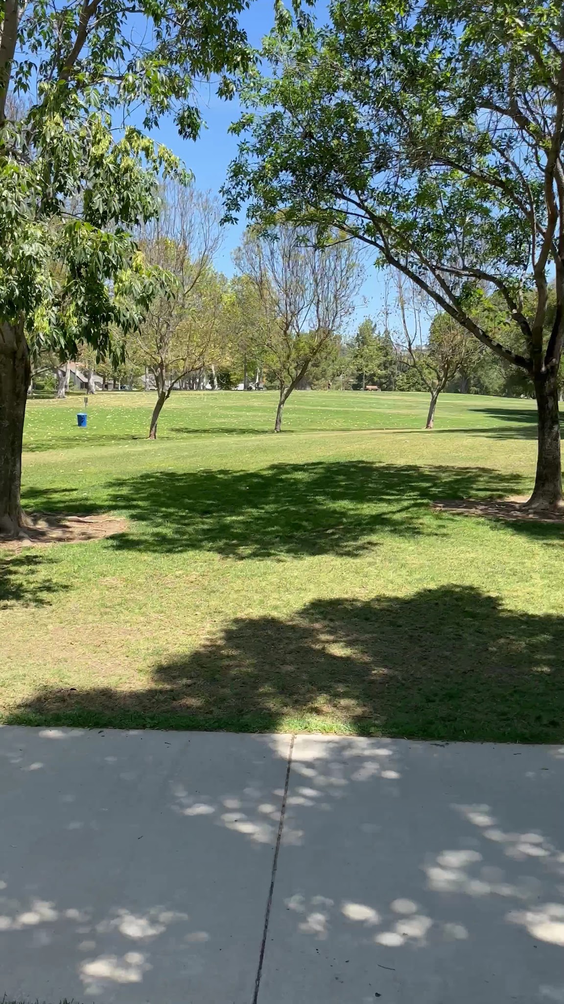Mission Oaks Dog Park - Camarillo, CA