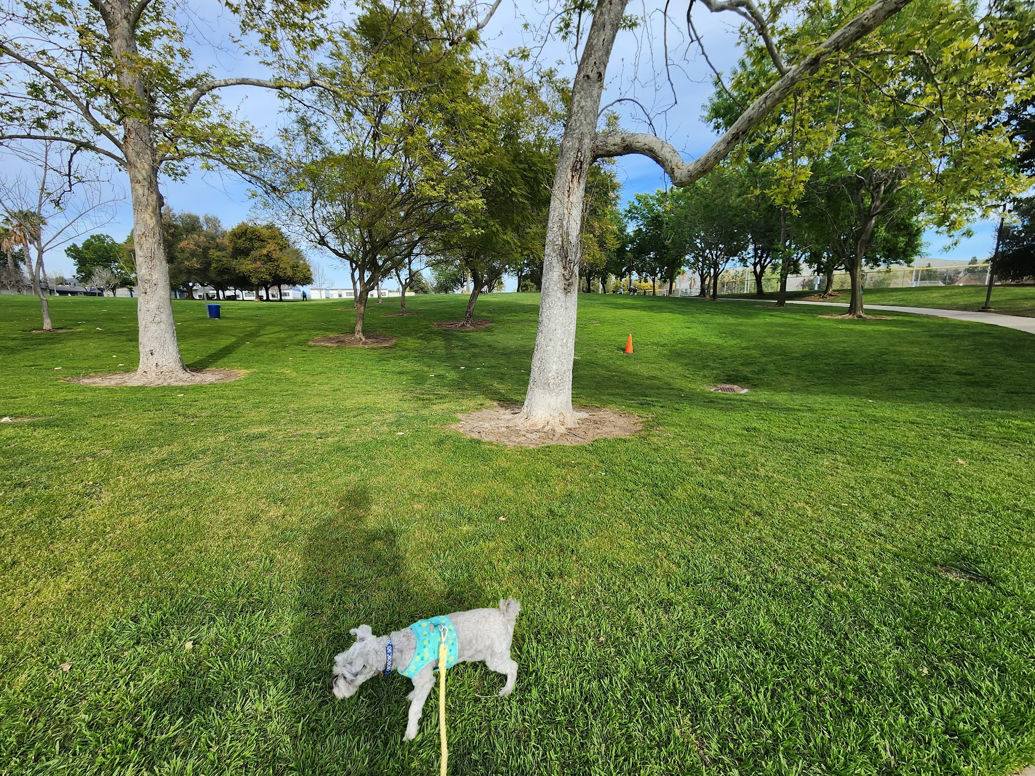 Mission Oaks Dog Park - Camarillo, CA