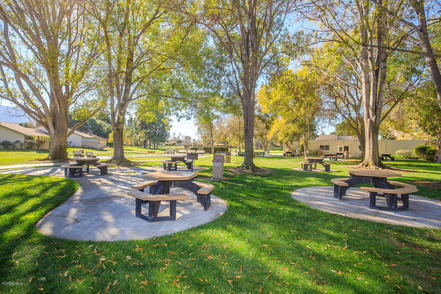 Mission Oaks Park - Camarillo, CA